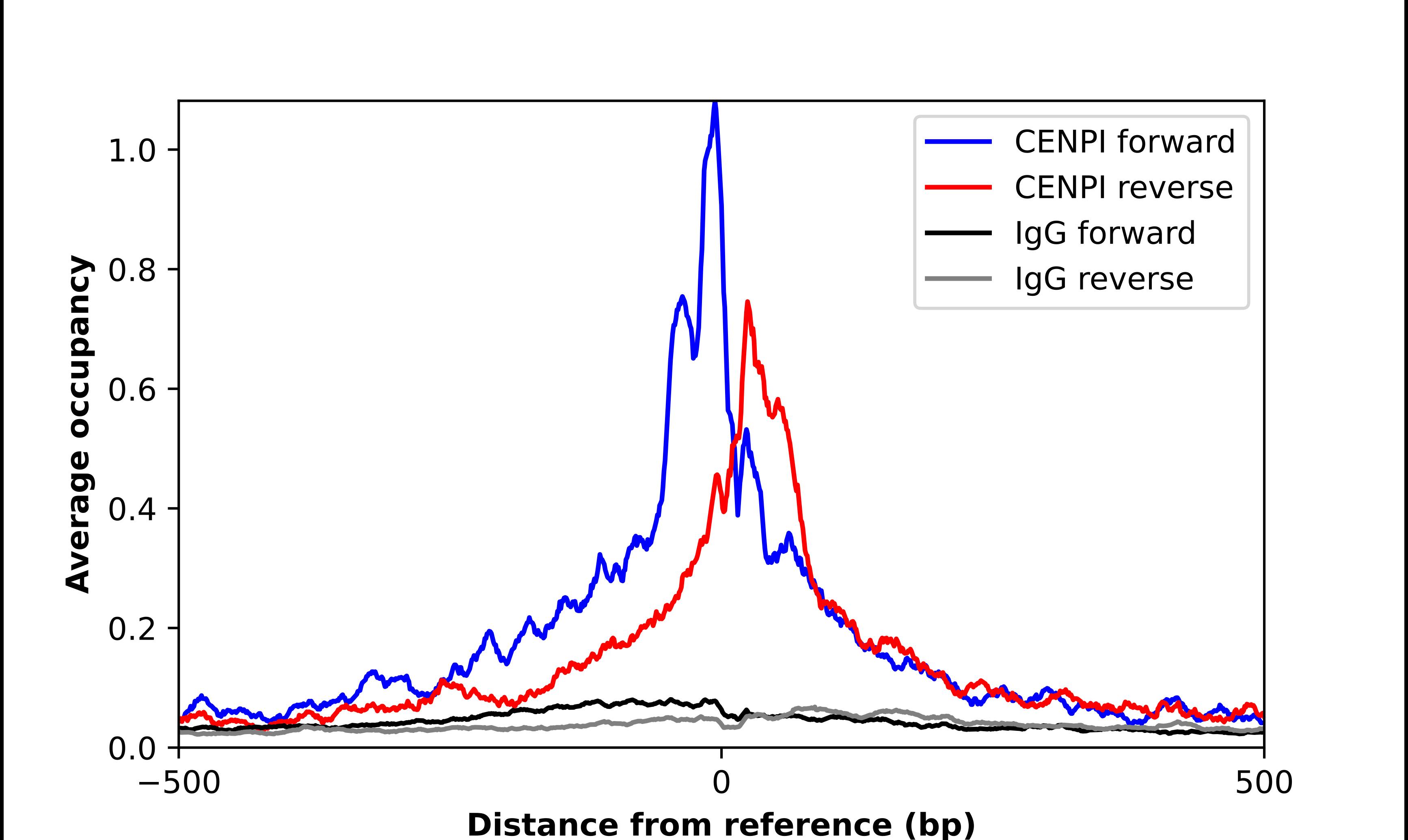CENPI Antibody - BSA Free Chromatin Immunoprecipitation-exo-Seq: CENPI Antibody - BSA Free [NBP2-56199]