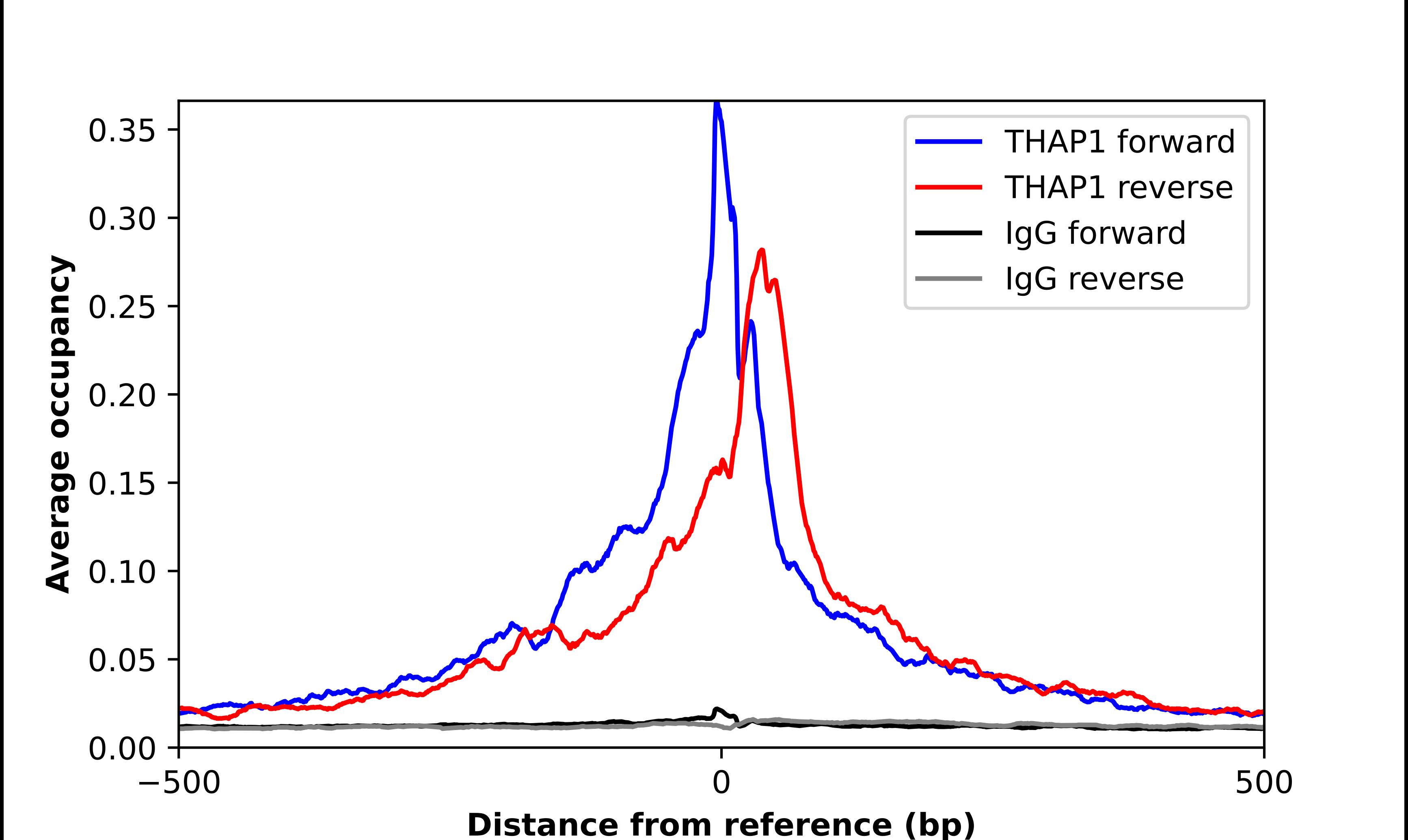 THAP1 Antibody - BSA Free Chromatin Immunoprecipitation-exo-Seq: THAP1 Antibody - BSA Free [NBP2-56308]