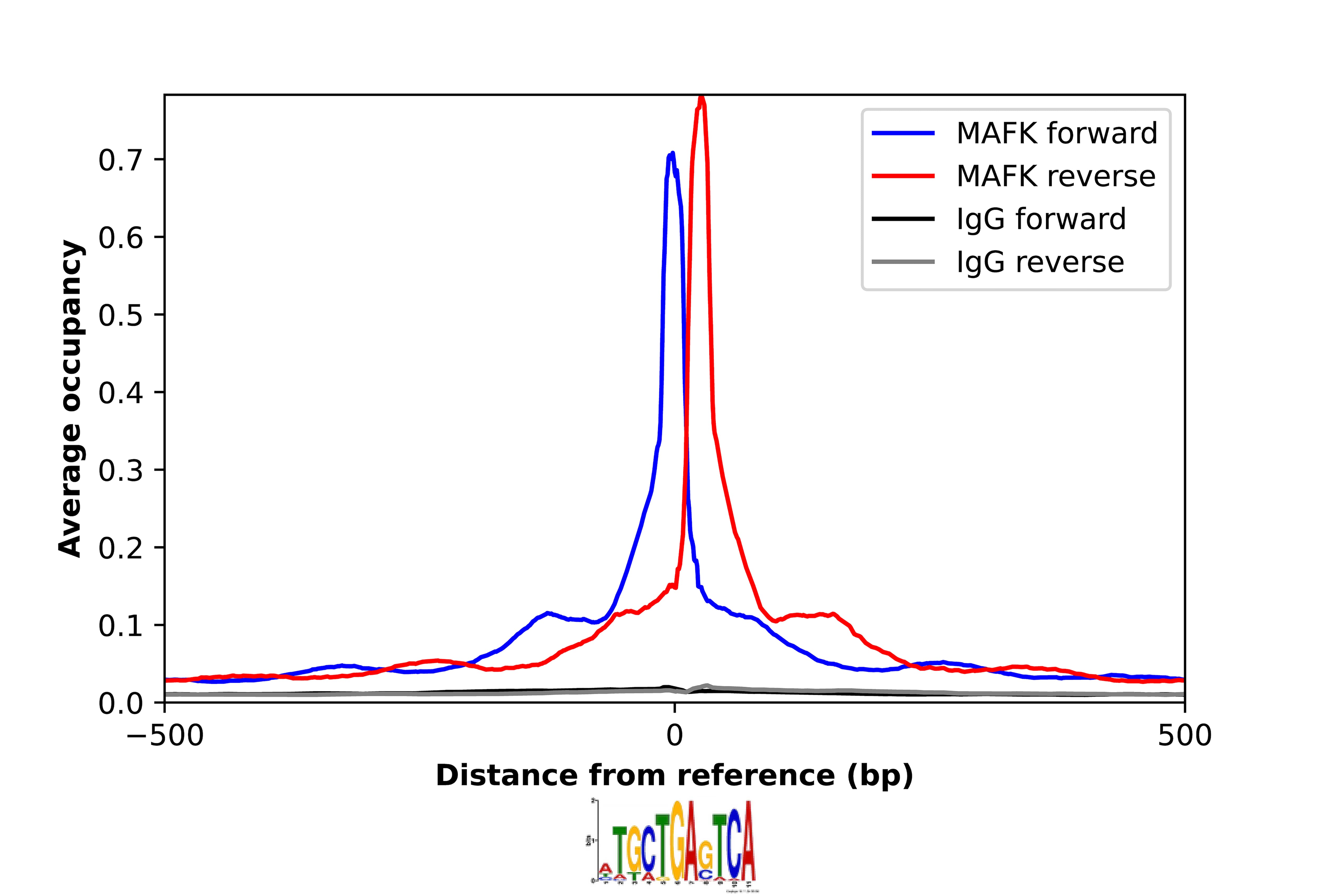 MafK Antibody - BSA Free Chromatin Immunoprecipitation-exo-Seq: MafK Antibody - BSA Free [NBP2-56366]