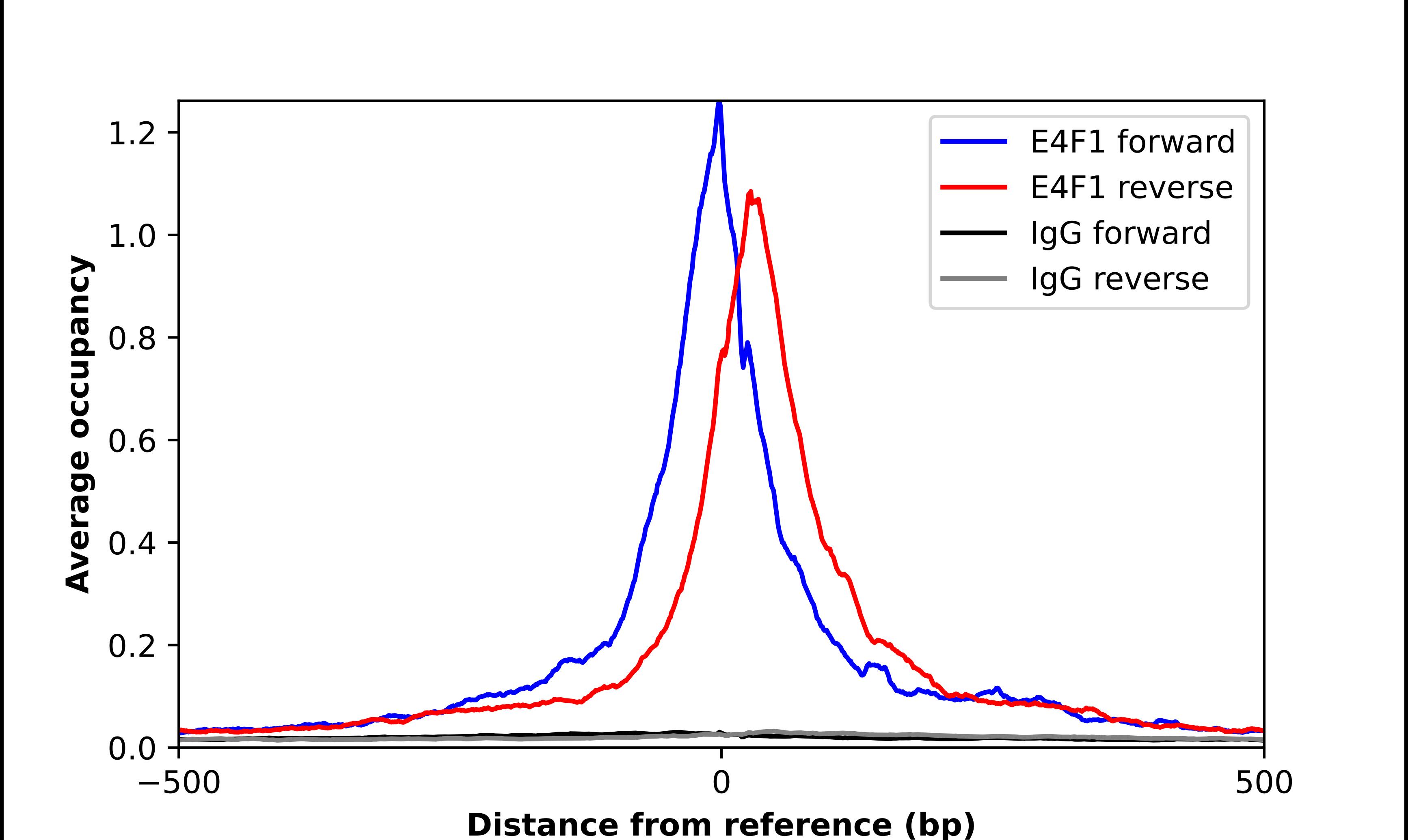 E4F1 Antibody - BSA Free Chromatin Immunoprecipitation-exo-Seq: E4F1 Antibody - BSA Free [NBP2-56386]