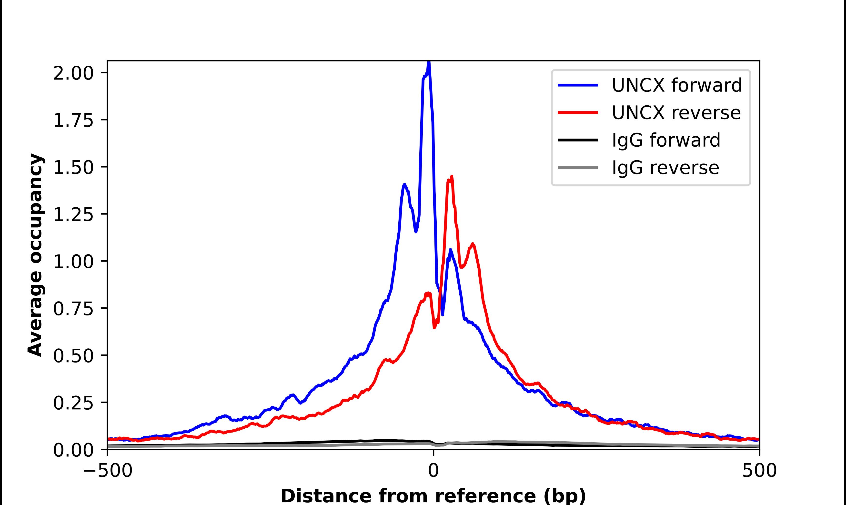 UNCX Antibody - BSA Free Chromatin Immunoprecipitation-exo-Seq: UNCX Antibody - BSA Free [NBP2-56480]