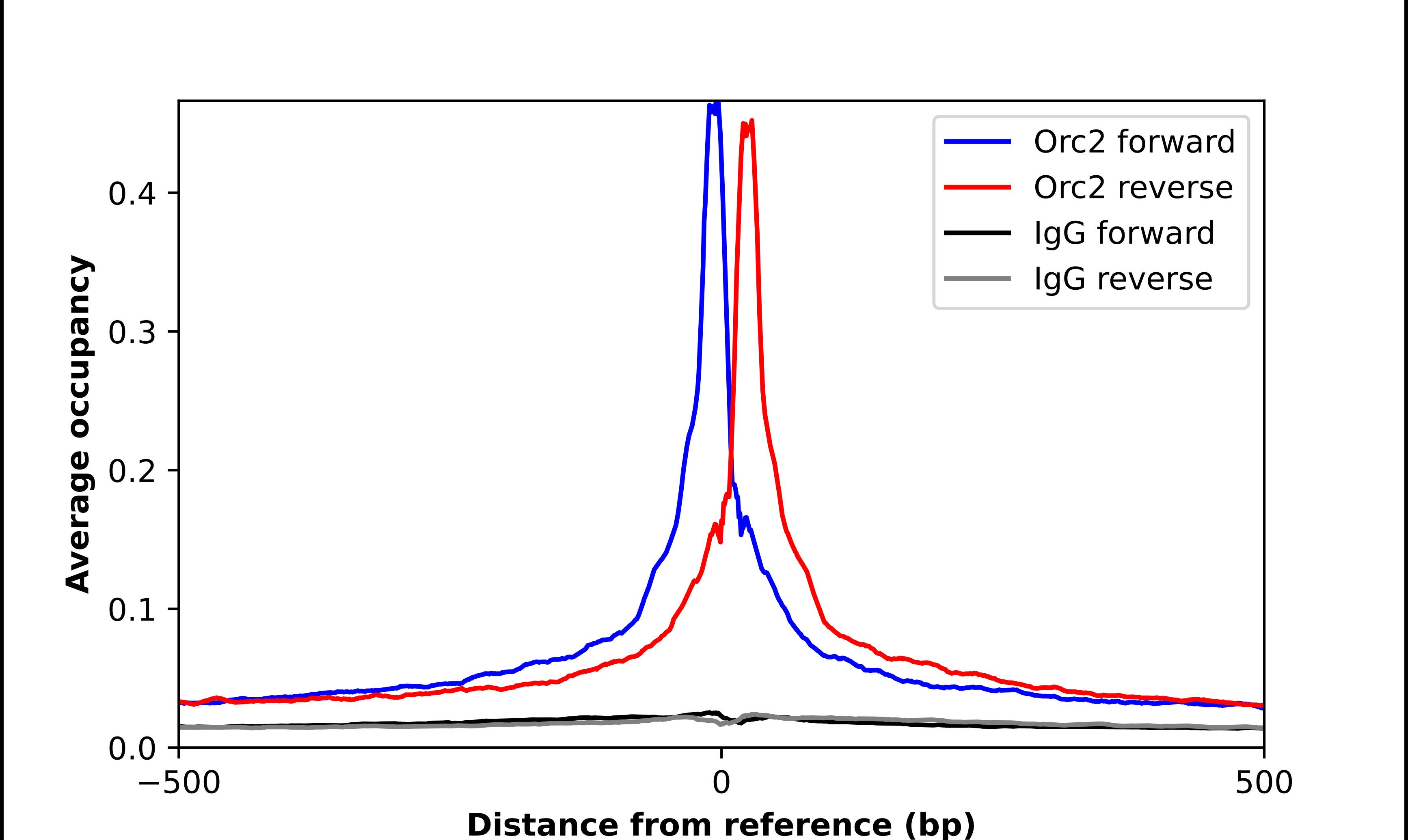 Orc2 Antibody - BSA Free Chromatin Immunoprecipitation-exo-Seq: Orc2 Antibody - BSA Free [NBP2-56503]