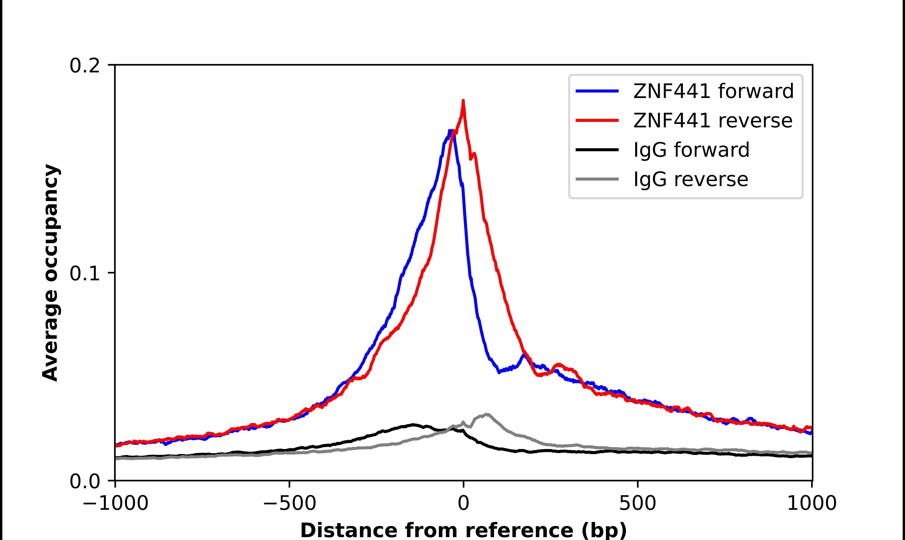 ZNF441 Antibody - BSA Free Chromatin Immunoprecipitation-exo-Seq: ZNF441 Antibody - BSA Free [NBP2-56529]
