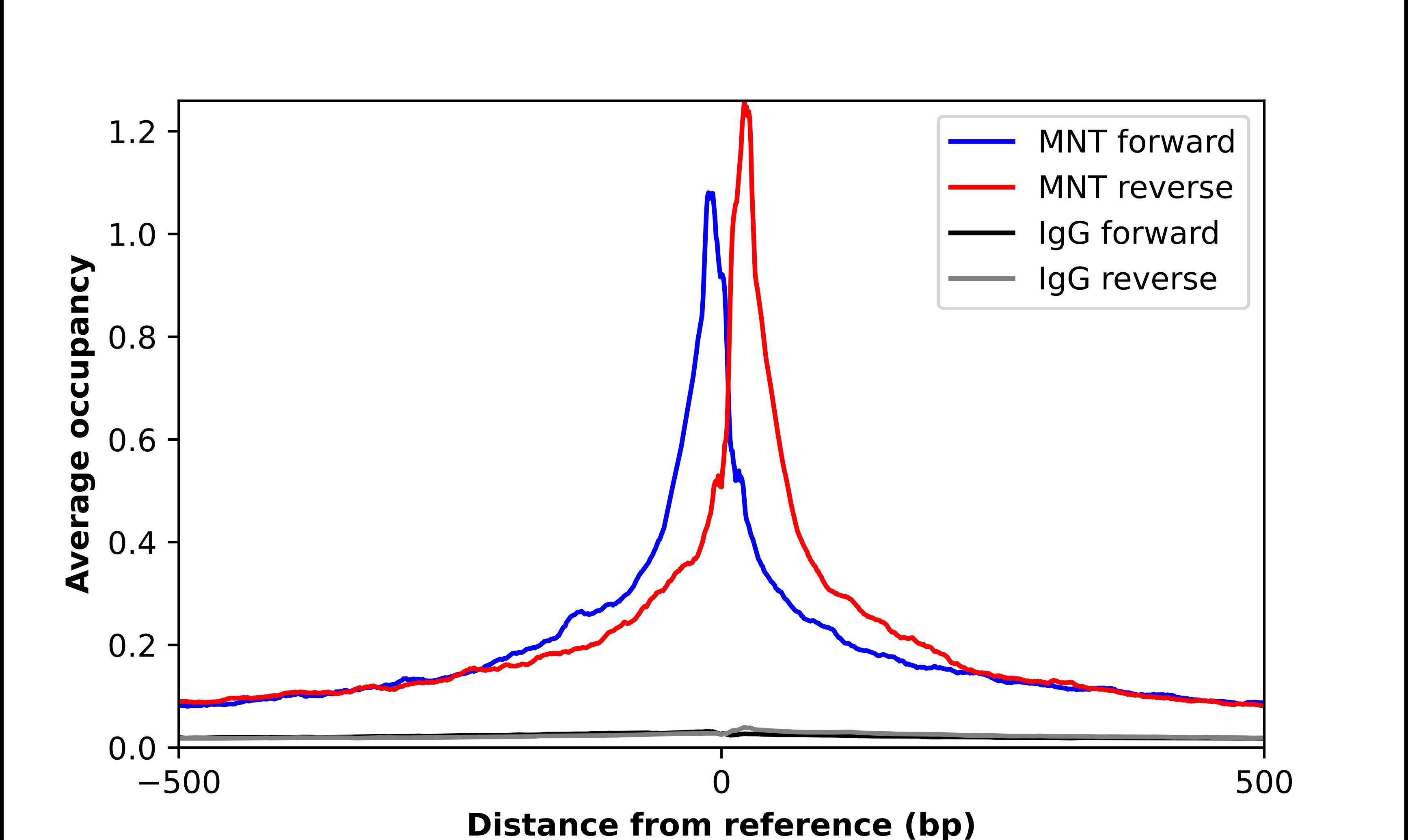 MAX binding protein Antibody - BSA Free Chromatin Immunoprecipitation-exo-Seq: MAX binding protein Antibody - BSA Free [NBP2-56563]