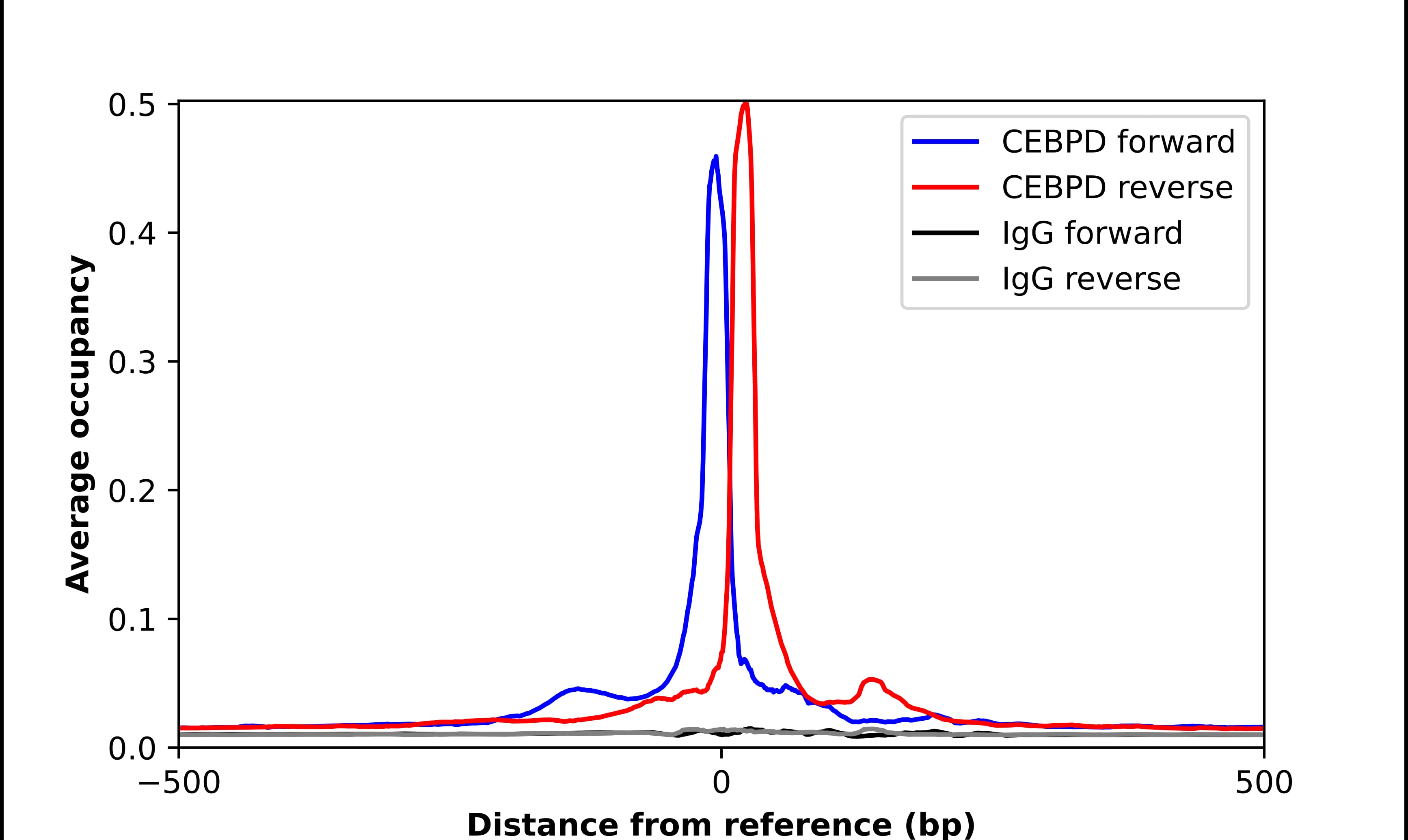 CEBP Delta Antibody - BSA Free Chromatin Immunoprecipitation ChIP: CEBP Delta Antibody - BSA Free