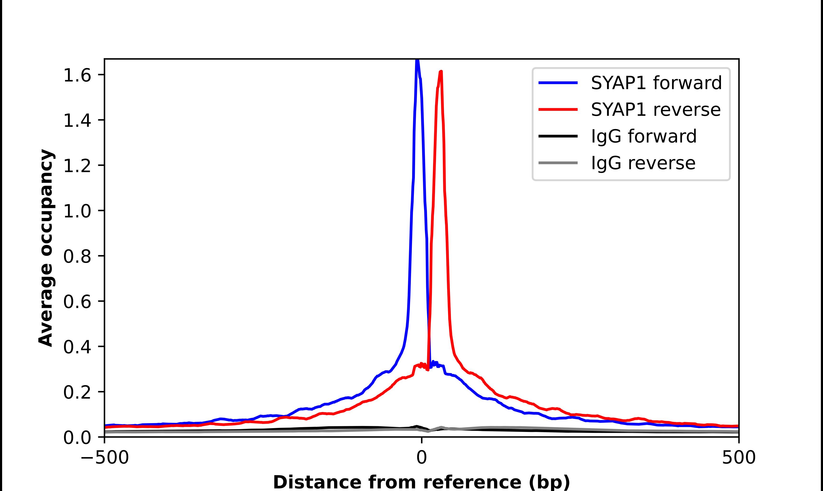 SYAP1 Antibody - BSA Free Chromatin Immunoprecipitation-exo-Seq: SYAP1 Antibody - BSA Free [NBP2-56625]