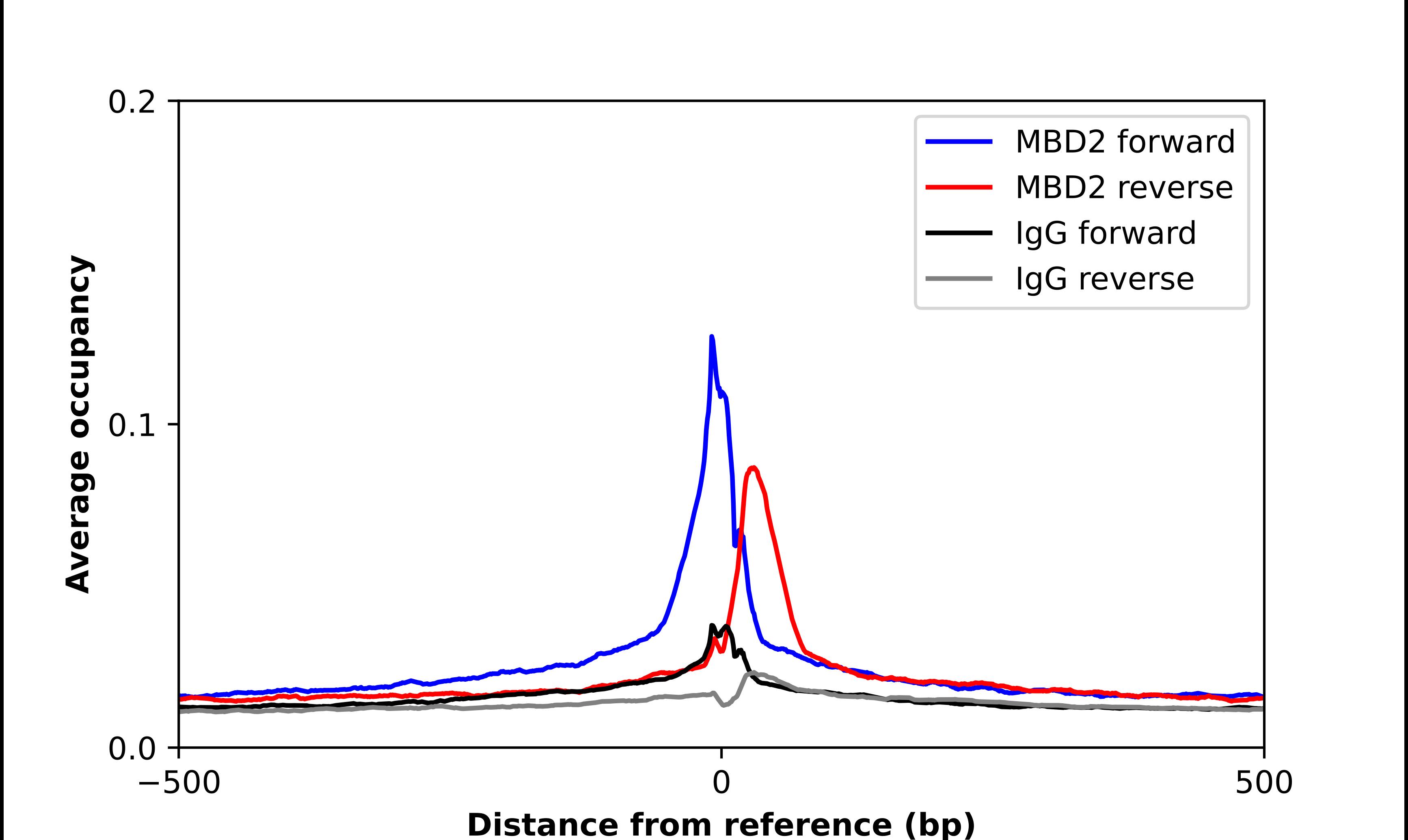 MBD2 Antibody - BSA Free Chromatin Immunoprecipitation-exo-Seq: MBD2 Antibody - BSA Free [NBP2-56638]