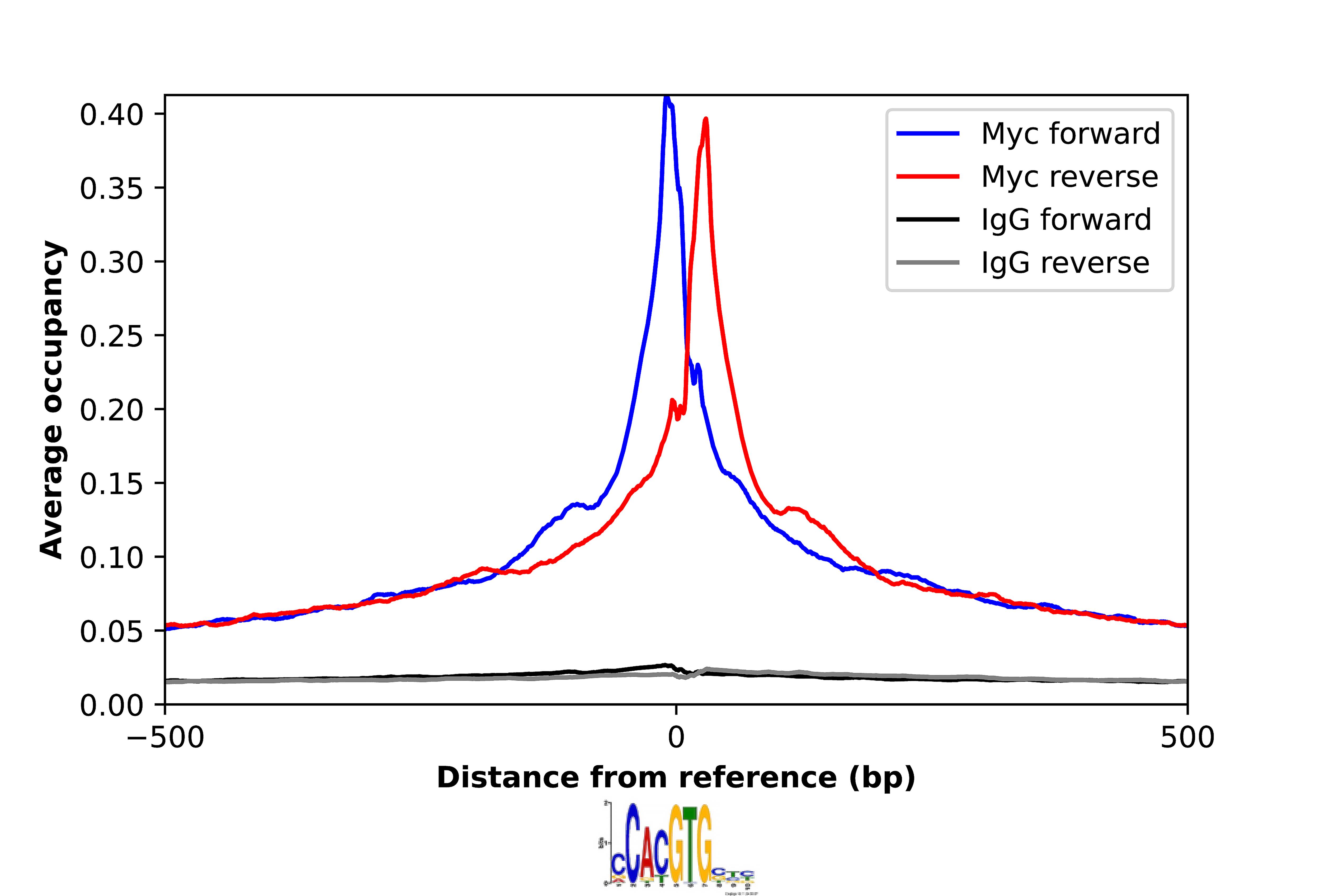 c-Myc Antibody - BSA Free Chromatin Immunoprecipitation-exo-Seq: c-Myc Antibody - BSA Free [NBP2-56660]