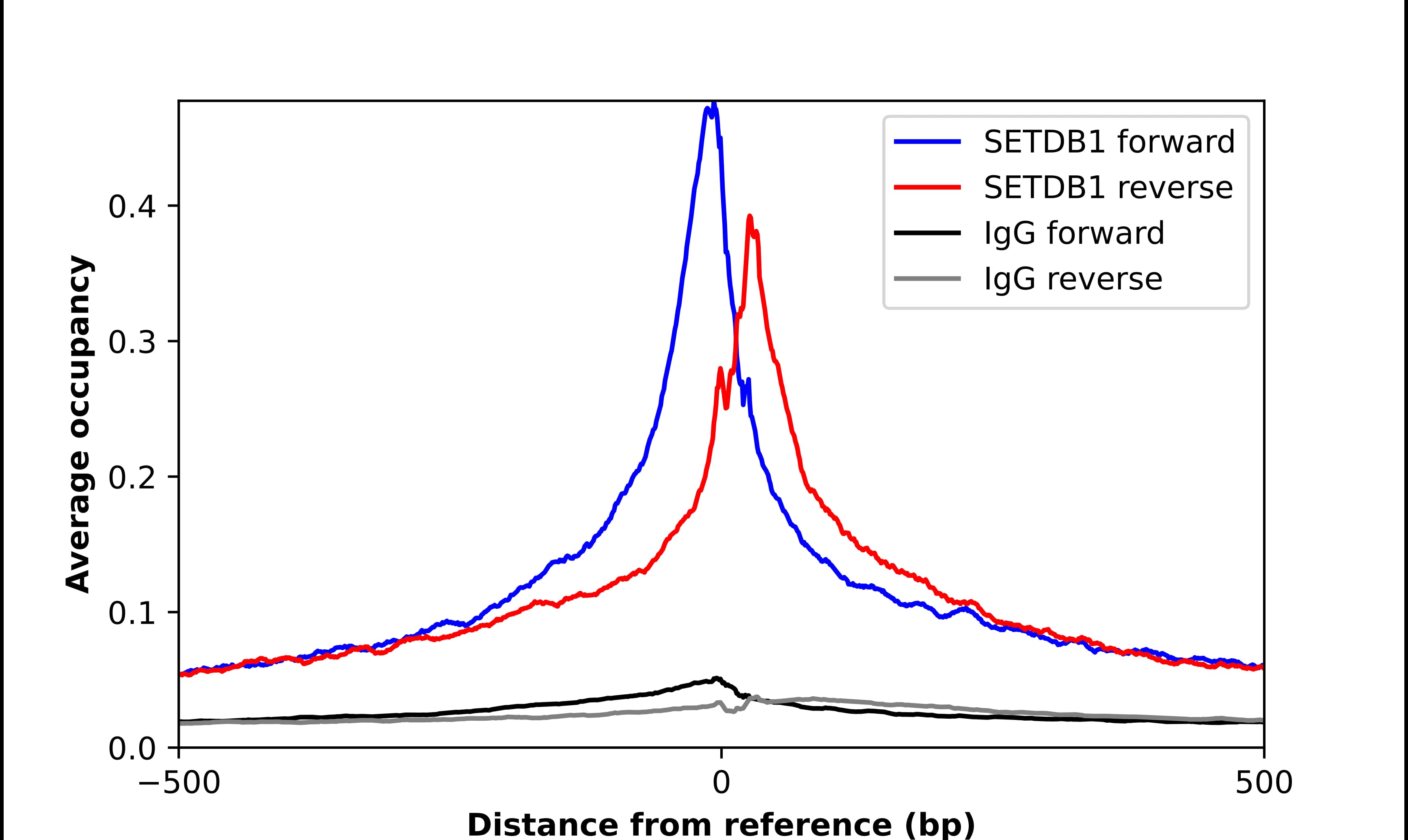 SETDB1 Antibody - BSA Free Chromatin Immunoprecipitation-exo-Seq: SETDB1 Antibody - BSA Free [NBP2-56678]