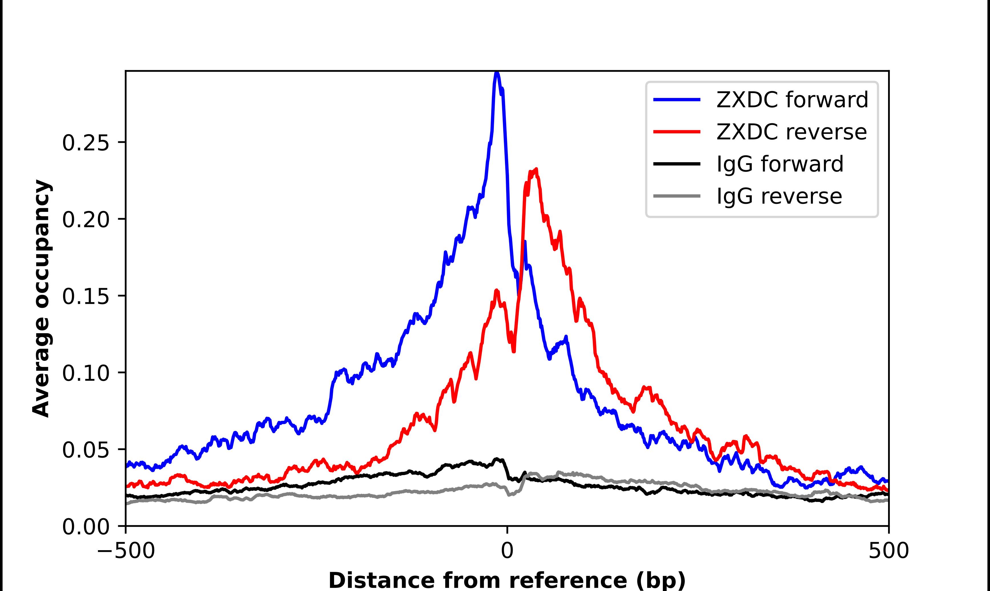 ZXDC Antibody - BSA Free Chromatin Immunoprecipitation-exo-Seq: ZXDC Antibody - BSA Free [NBP2-56684]