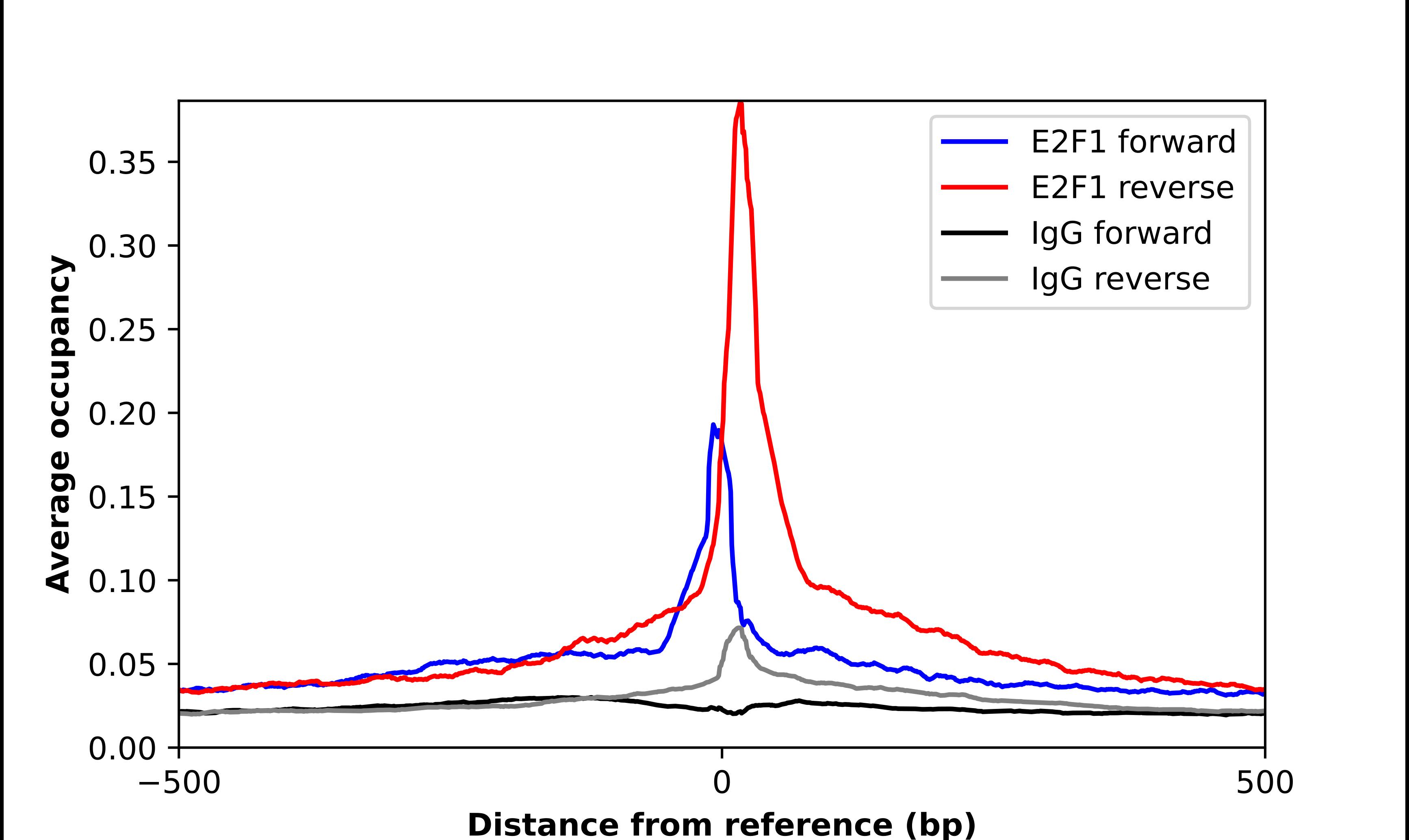 E2F-1 Antibody - BSA Free Chromatin Immunoprecipitation ChIP: E2F-1 Antibody - BSA Free