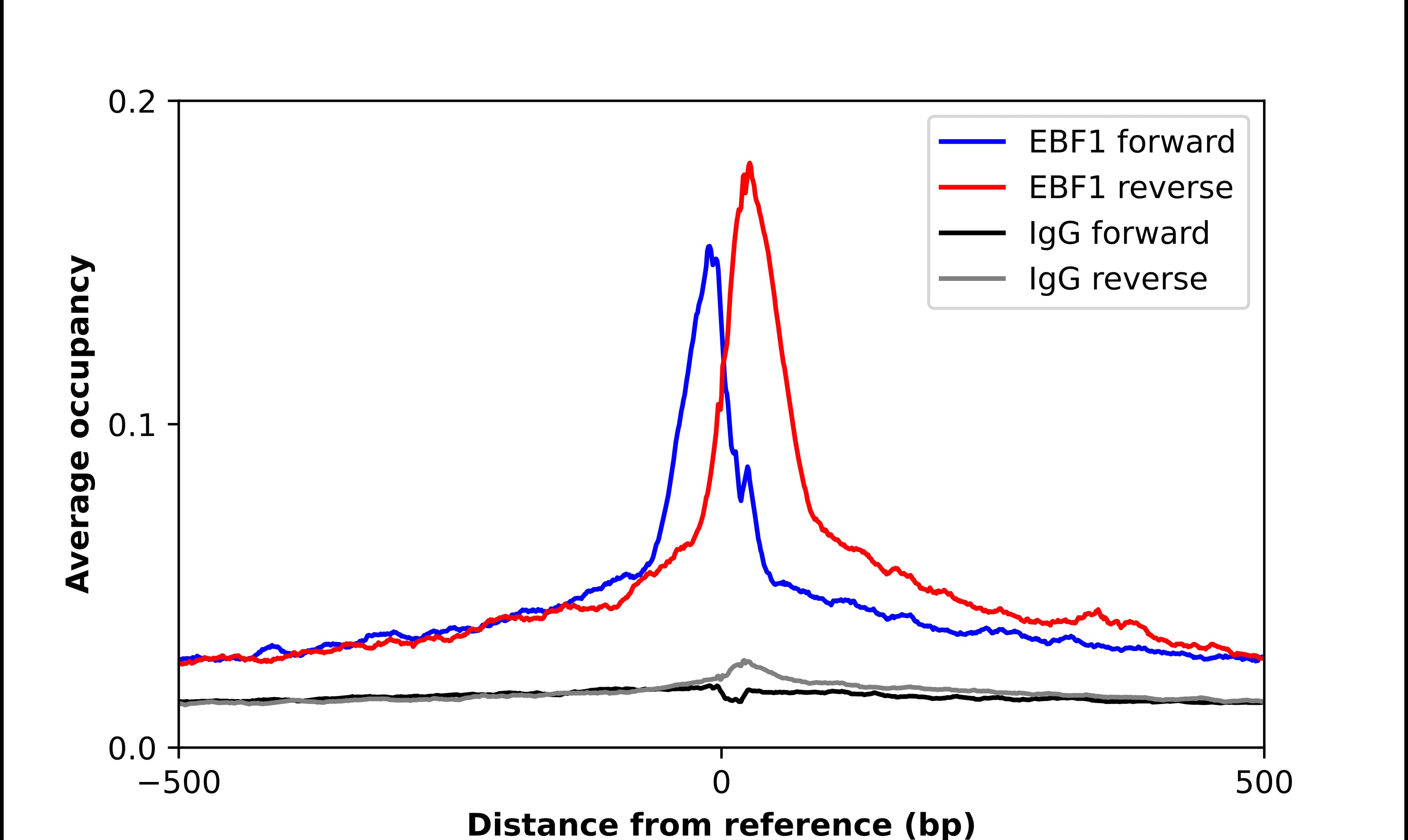 EBF-1 Antibody - BSA Free Chromatin Immunoprecipitation-exo-Seq: EBF-1 Antibody - BSA Free [NBP2-56773]