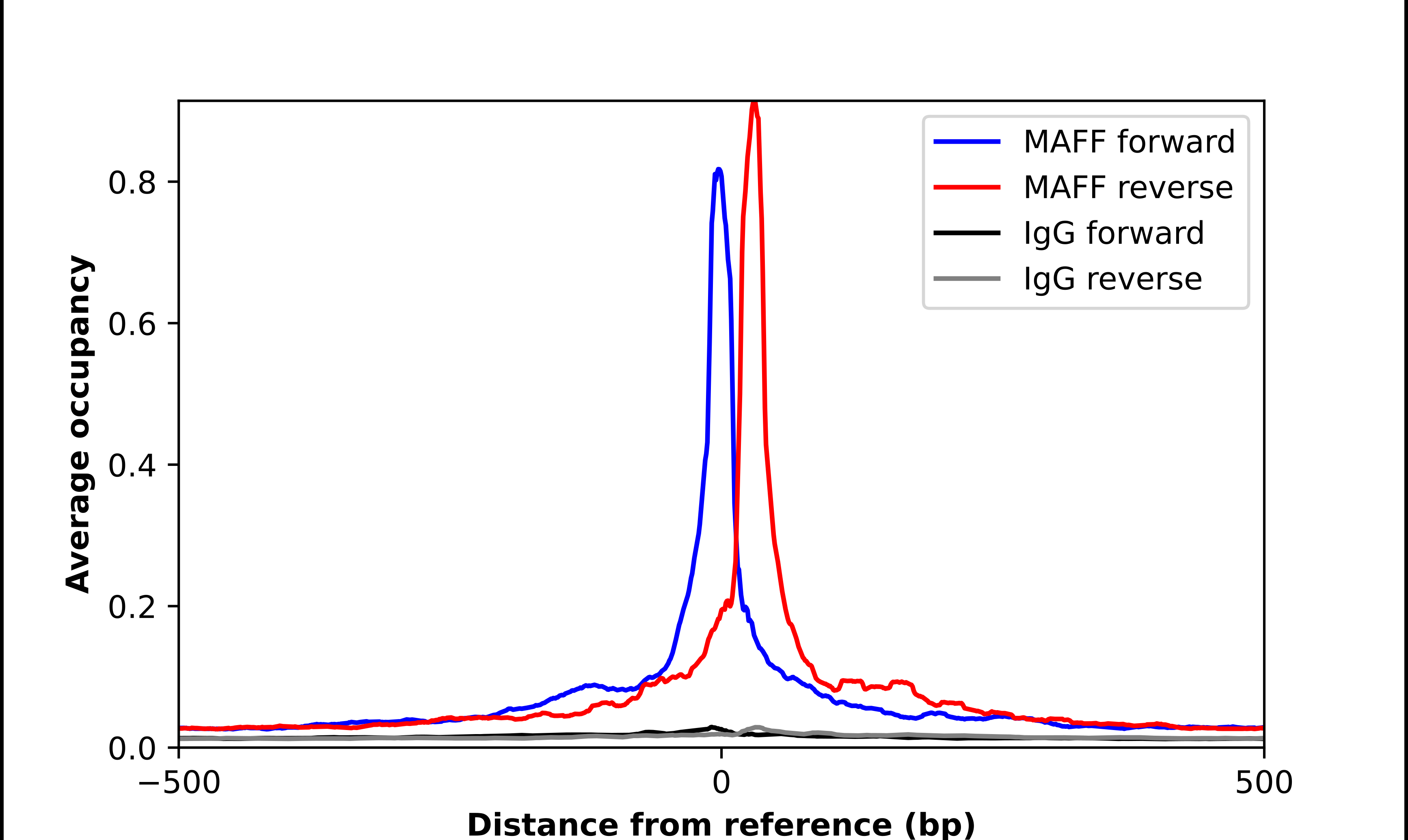 MafF Antibody - BSA Free Chromatin Immunoprecipitation-exo-Seq: MafF Antibody - BSA Free [NBP2-56792]