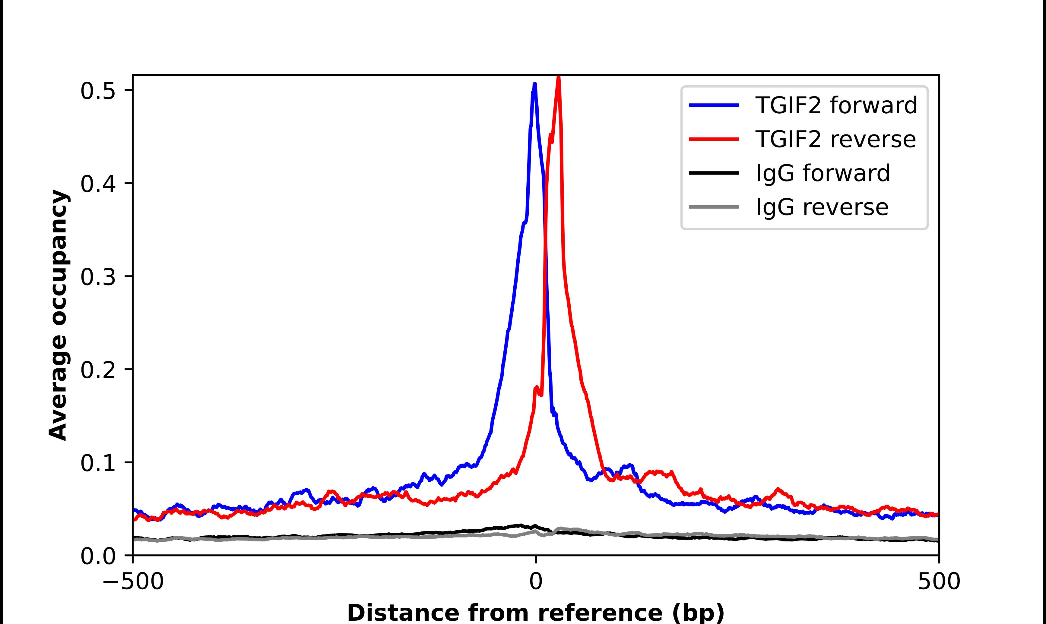 TGF beta induced factor 2 Antibody - BSA Free Chromatin Immunoprecipitation-exo-Seq: TGF beta induced factor 2 Antibody - BSA Free [NBP2-56813]