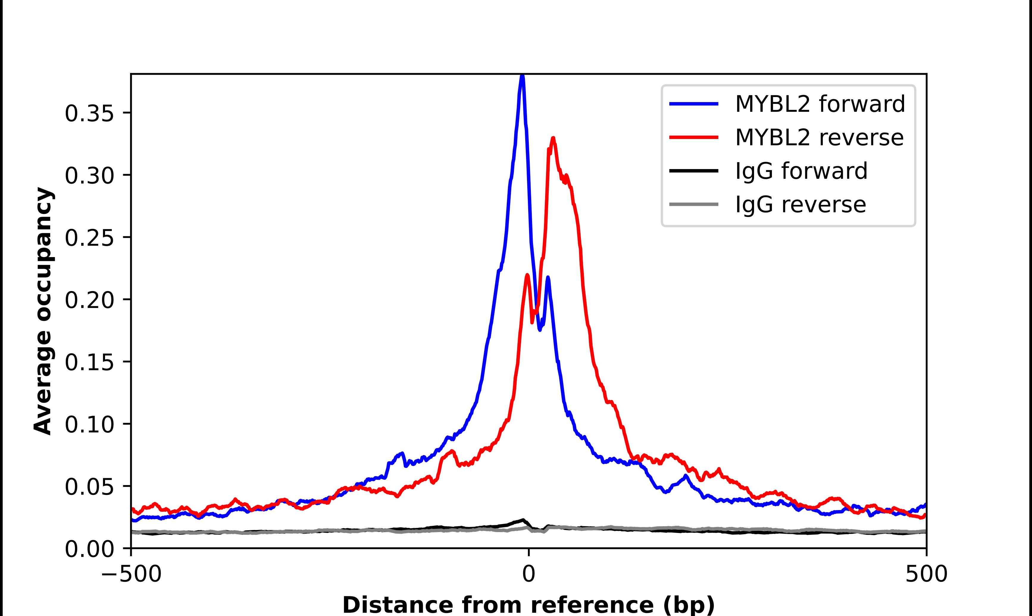 B-Myb Antibody - BSA Free Chromatin Immunoprecipitation-exo-Seq: B-Myb Antibody - BSA Free [NBP2-56847]