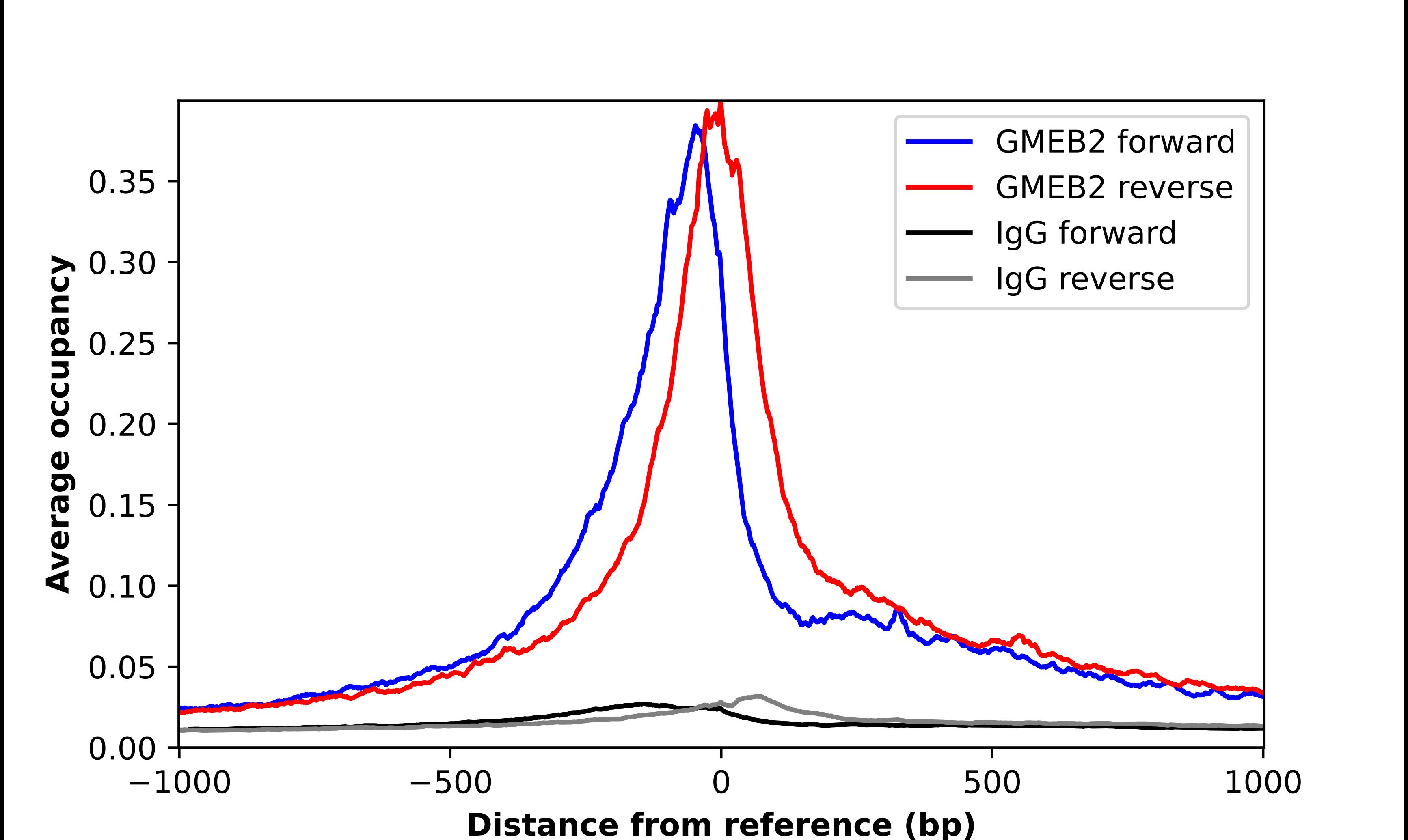 GMEB2 Antibody - BSA Free Chromatin Immunoprecipitation-exo-Seq: GMEB2 Antibody - BSA Free [NBP2-56893]