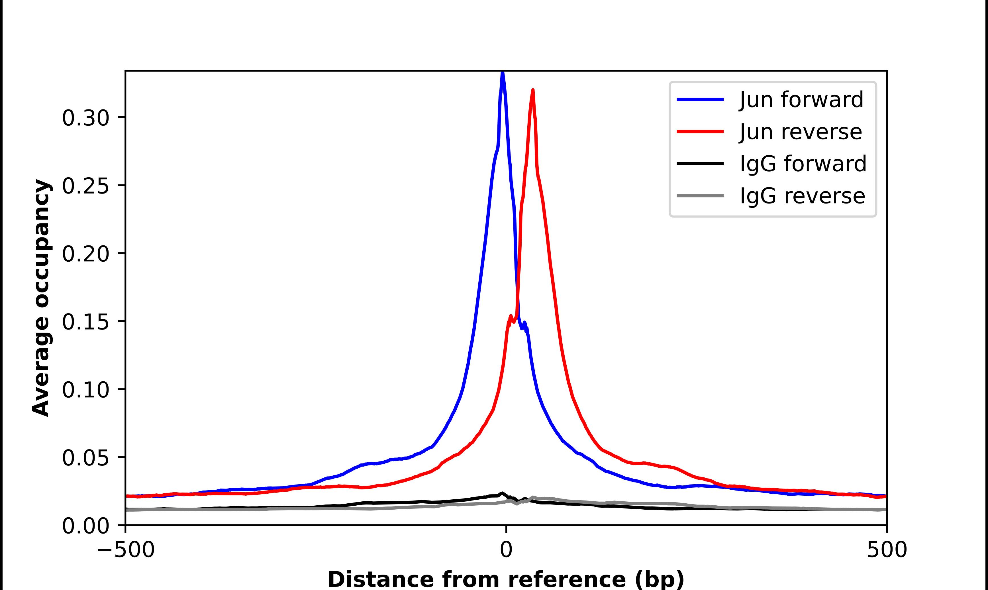 c-jun Antibody - BSA Free Chromatin Immunoprecipitation ChIP: c-jun Antibody - BSA Free