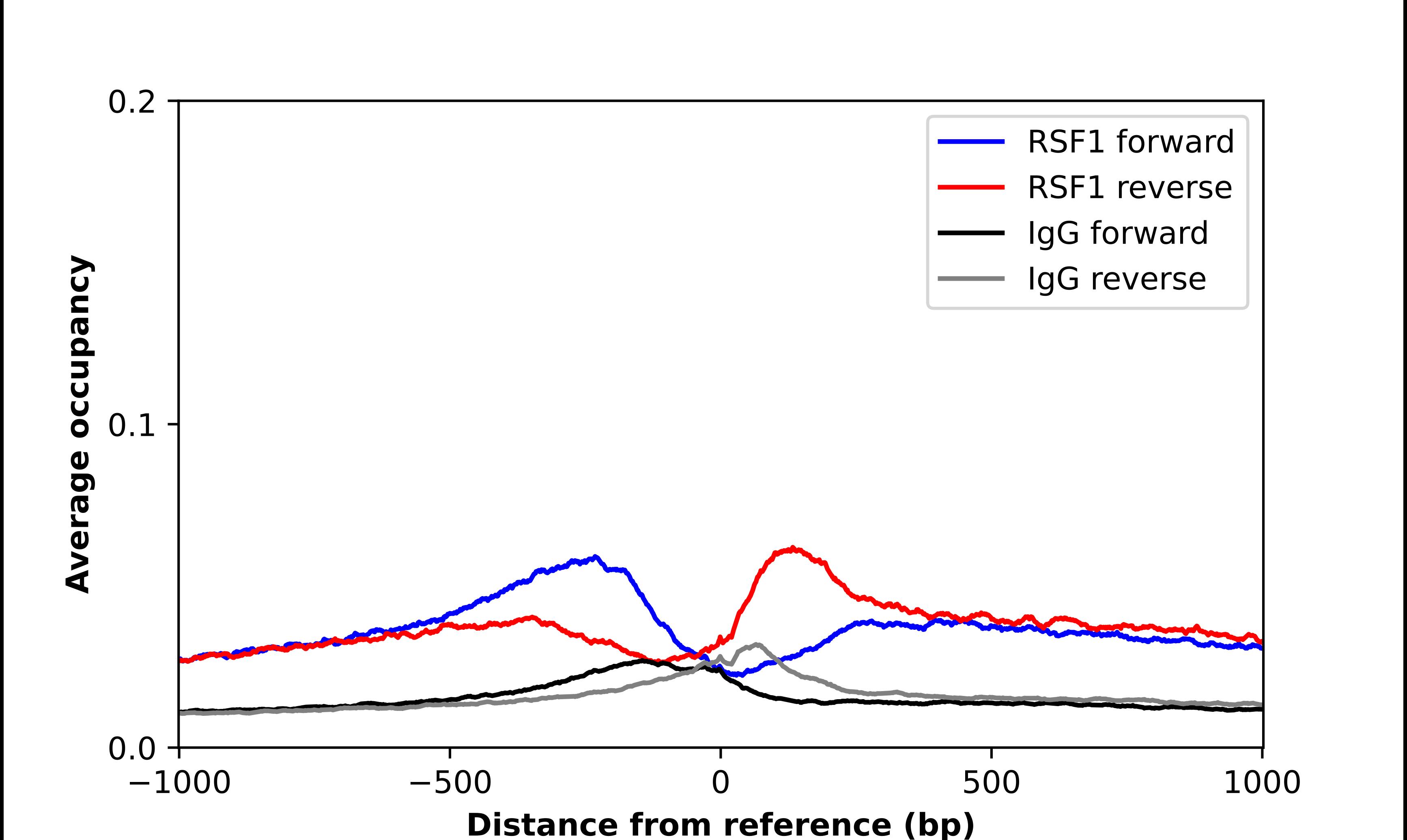 RSF1 Antibody - BSA Free Chromatin Immunoprecipitation-exo-Seq: RSF1 Antibody - BSA Free [NBP2-56940]