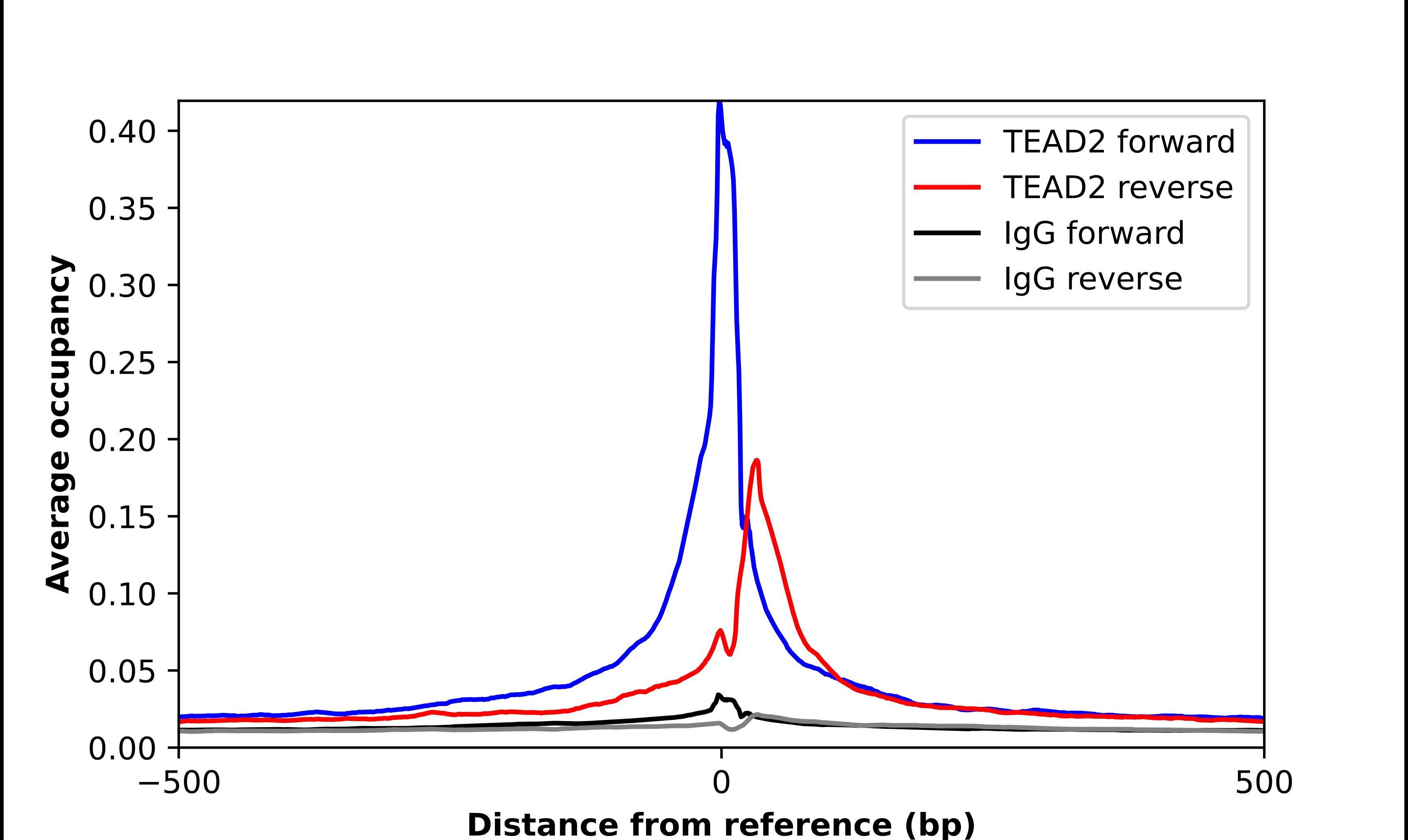 TEAD2 Antibody - BSA Free Chromatin Immunoprecipitation ChIP: TEAD2 Antibody - BSA Free