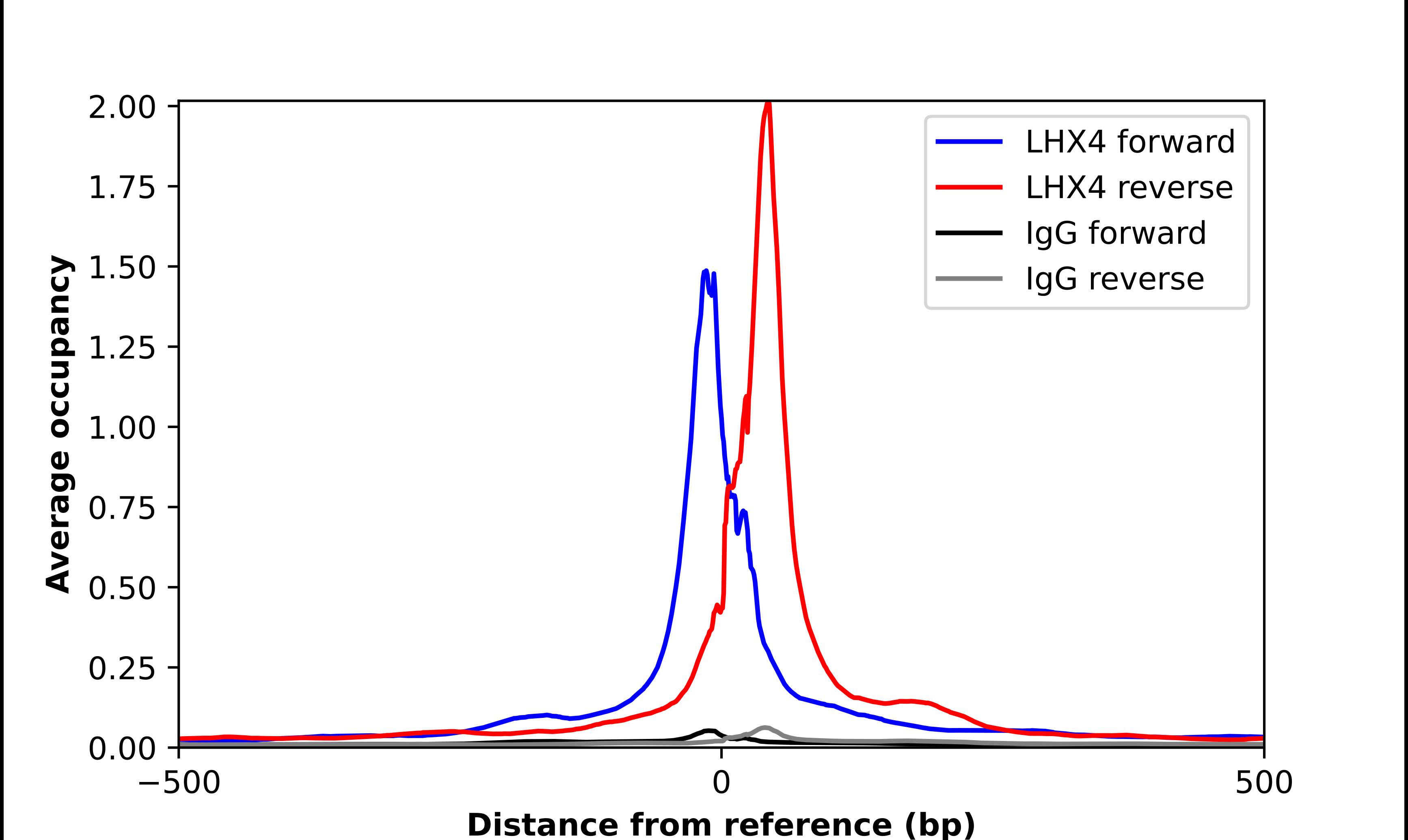 Lhx4 Antibody - BSA Free Chromatin Immunoprecipitation-exo-Seq: Lhx4 Antibody - BSA Free [NBP2-56985]