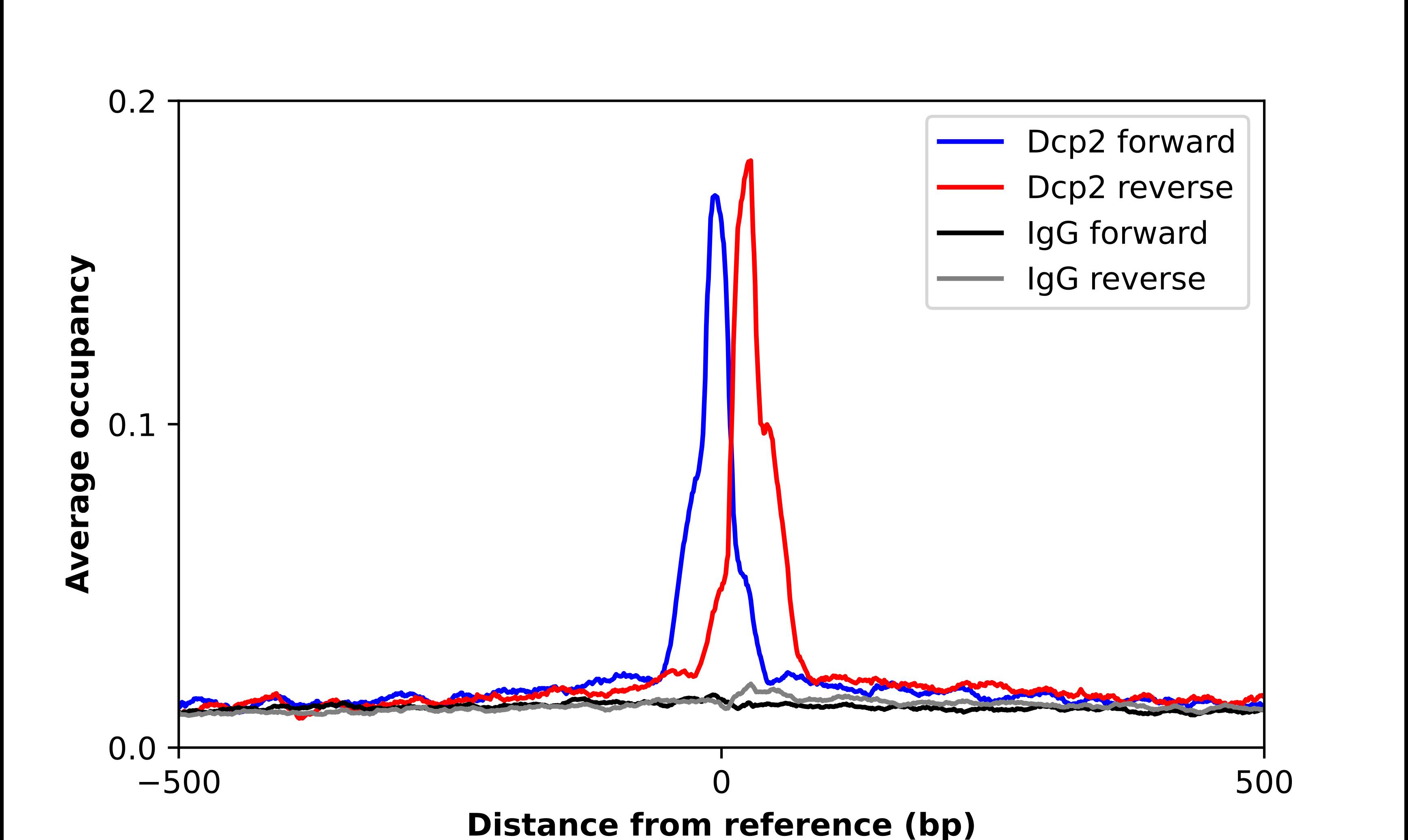 DCP2 Antibody - BSA Free Chromatin Immunoprecipitation-exo-Seq: DCP2 Antibody - BSA Free [NBP2-56996]