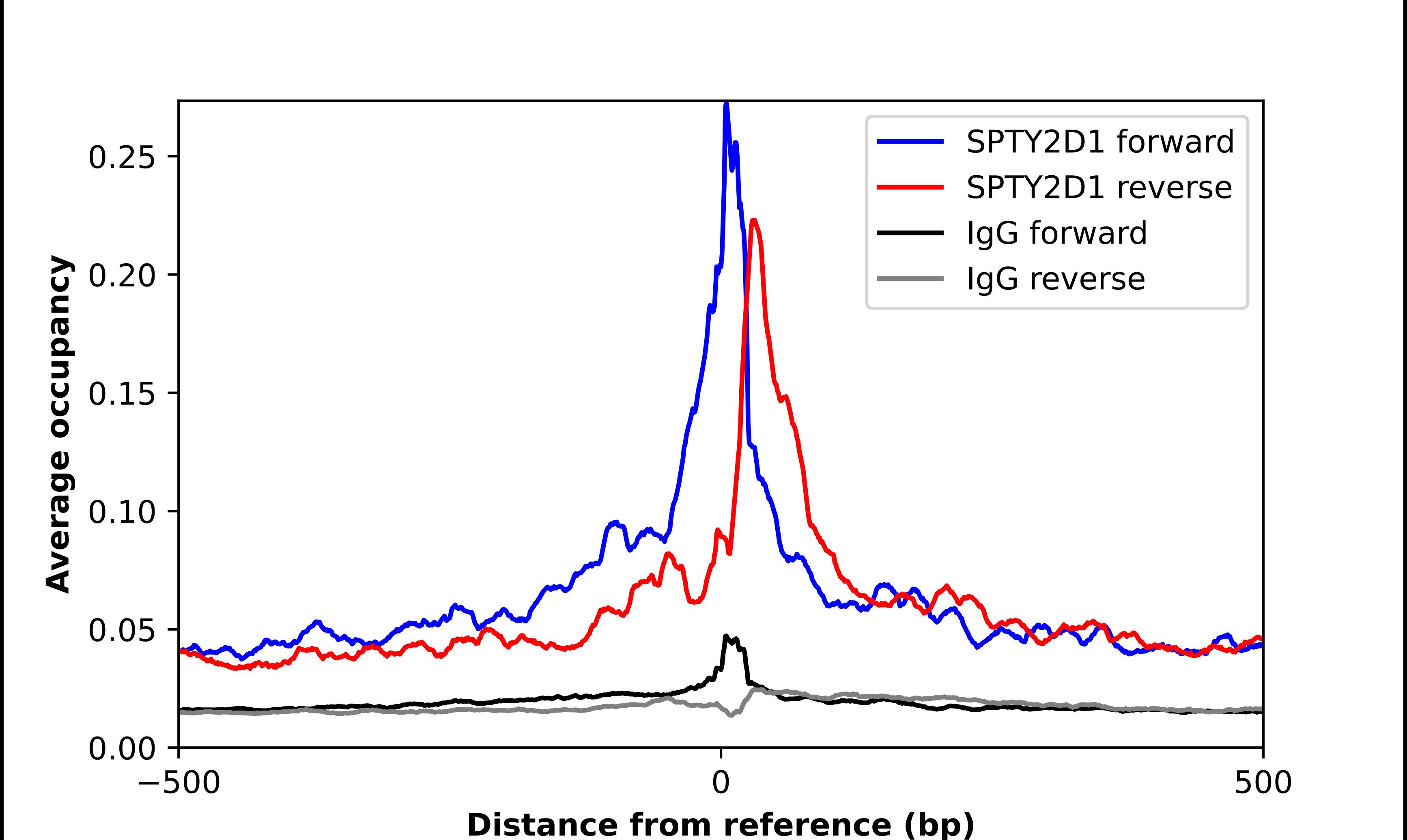 SPTY2D1 Antibody - BSA Free Chromatin Immunoprecipitation ChIP: SPTY2D1 Antibody - BSA Free