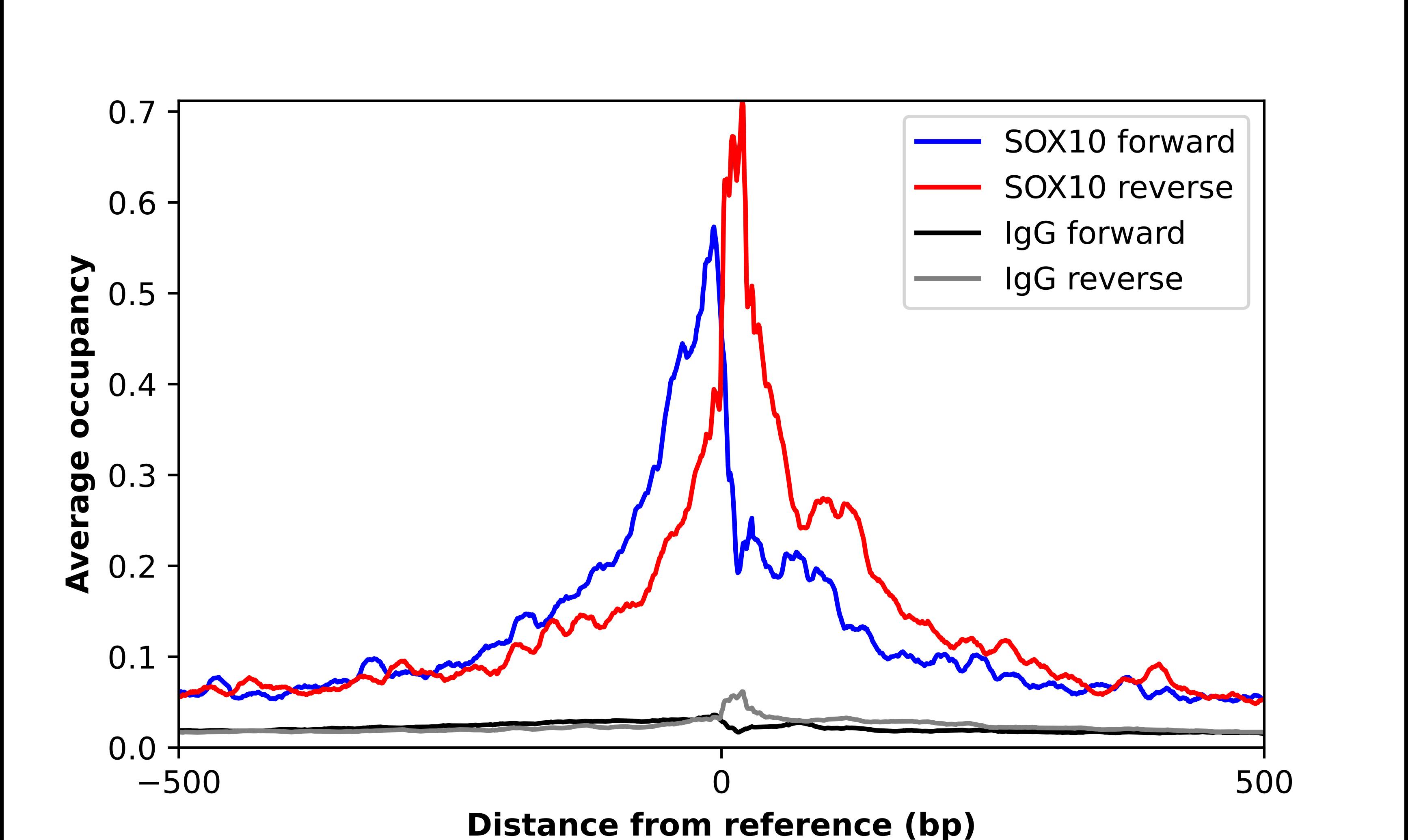 SOX10 Antibody - BSA Free Chromatin Immunoprecipitation-exo-Seq: SOX10 Antibody - BSA Free [NBP2-57023]