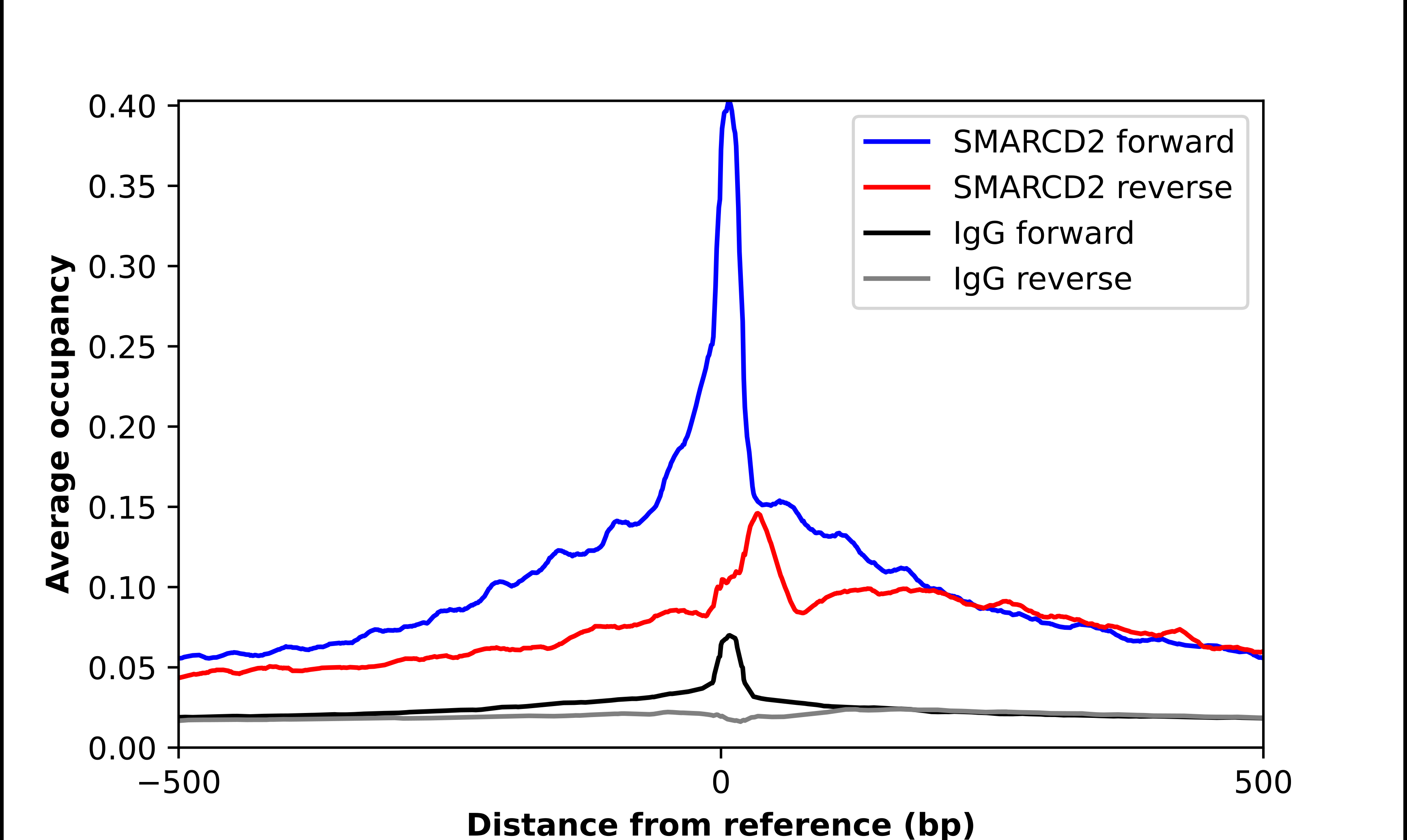 SMARCD2 Antibody - BSA Free Chromatin Immunoprecipitation ChIP: SMARCD2 Antibody - BSA Free