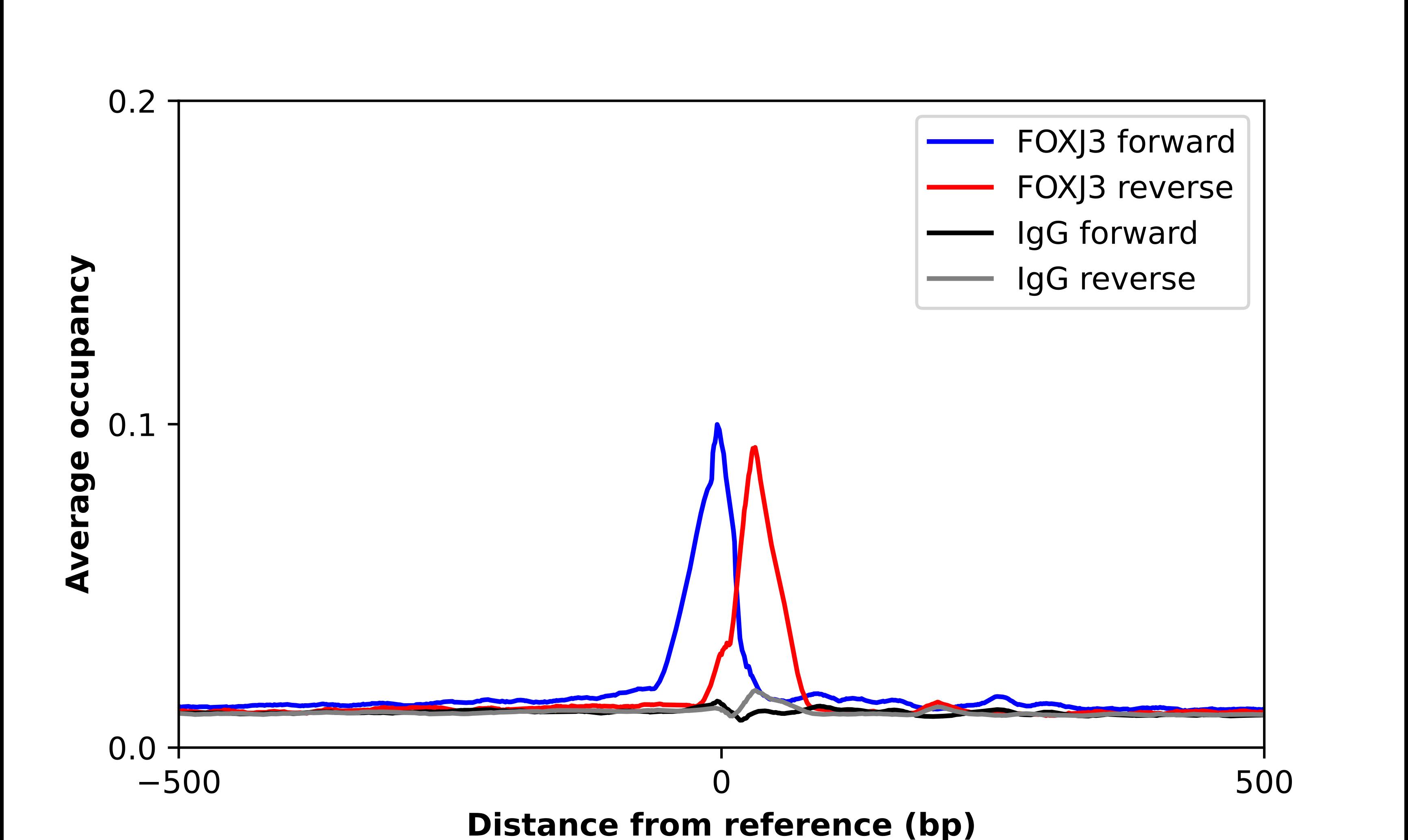 FoxJ3 Antibody - BSA Free Chromatin Immunoprecipitation ChIP: FoxJ3 Antibody - BSA Free