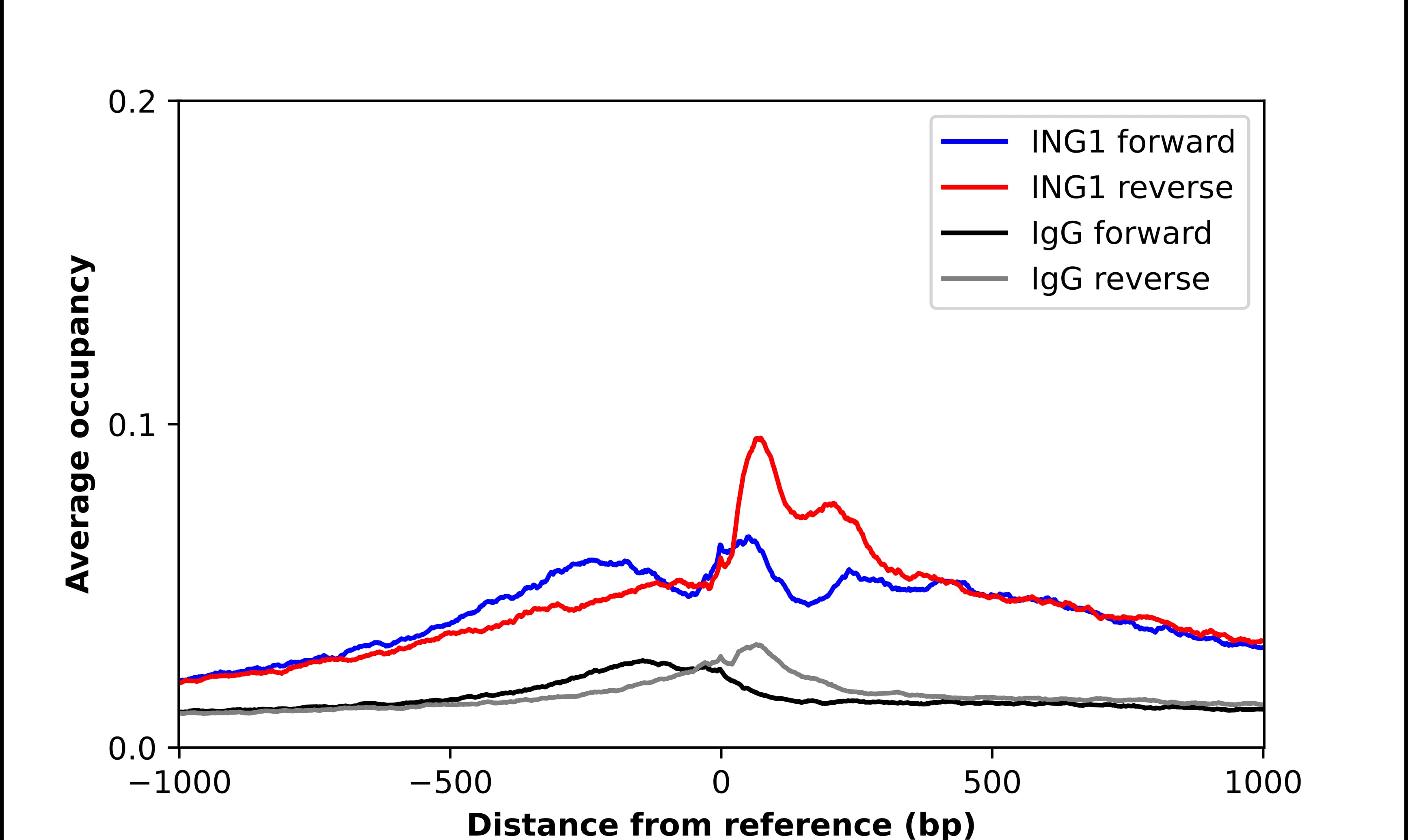 ING1 Antibody - BSA Free Chromatin Immunoprecipitation-exo-Seq: ING1 Antibody - BSA Free [NBP2-57223]