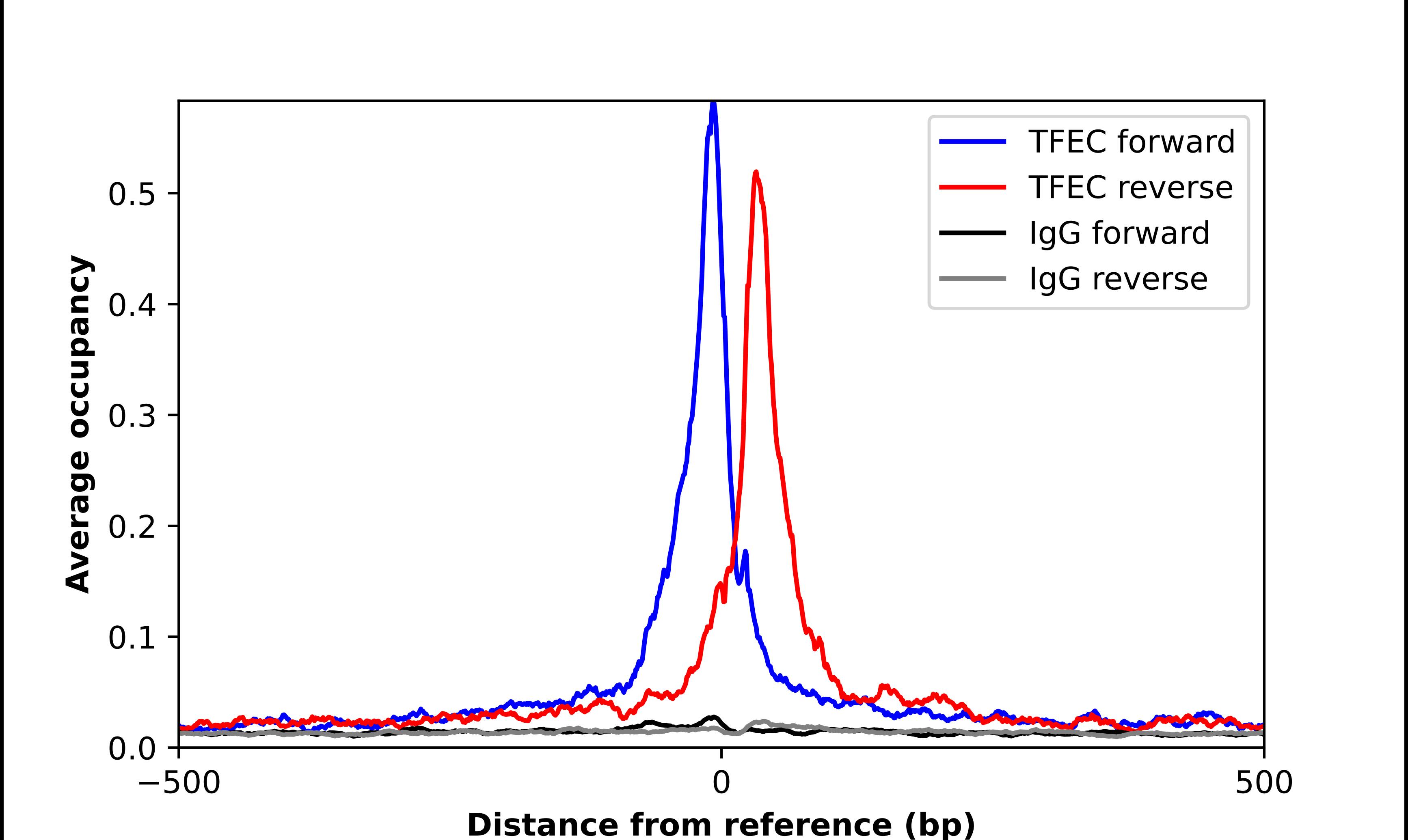 TFEC Antibody - BSA Free Chromatin Immunoprecipitation-exo-Seq: TFEC Antibody - BSA Free [NBP2-57258]