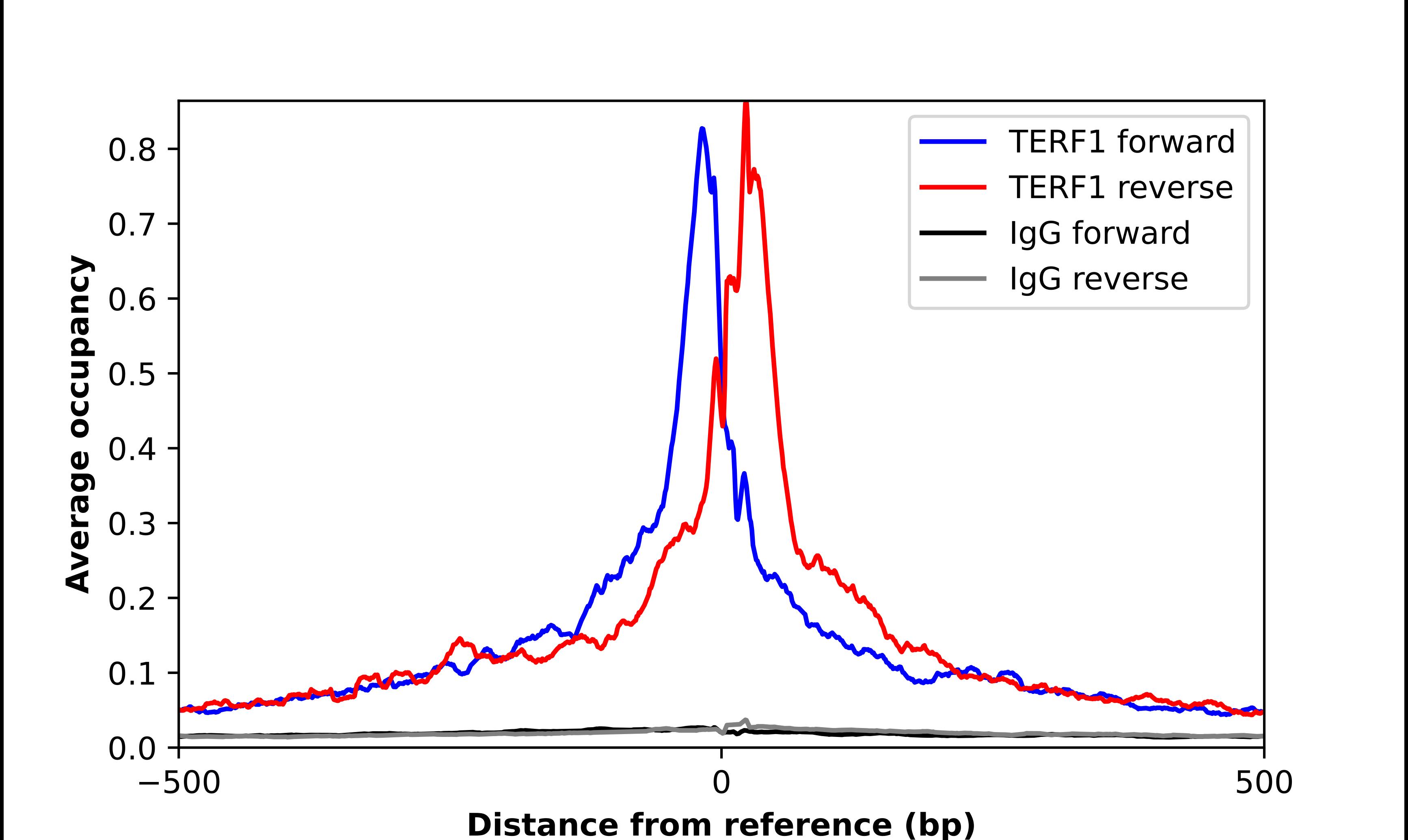 TRF-1 Antibody - BSA Free Chromatin Immunoprecipitation-exo-Seq: TRF-1 Antibody - BSA Free [NBP2-57285]