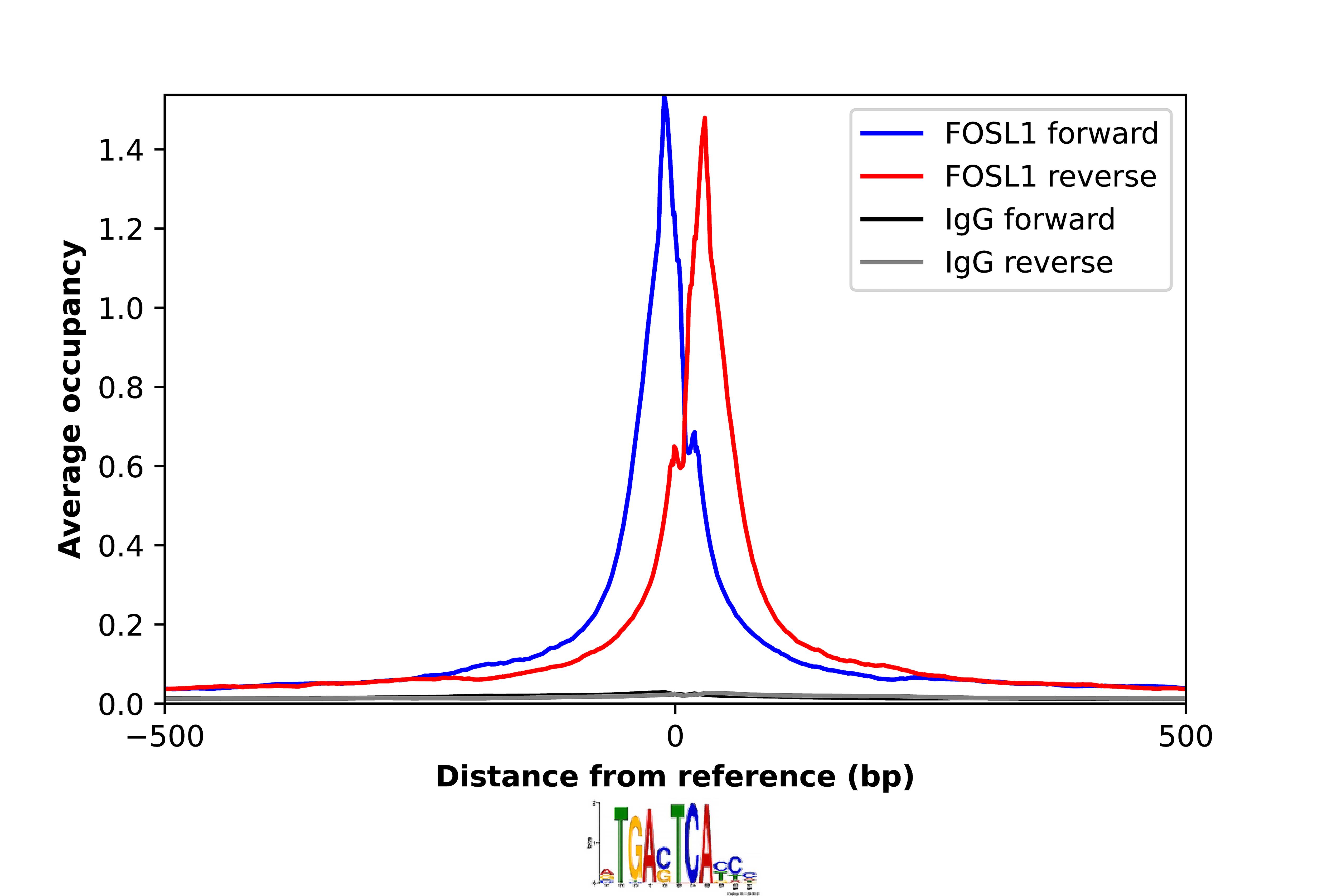 FRA-1/FOSL1 Antibody - BSA Free Chromatin Immunoprecipitation-exo-Seq: FRA-1/FOSL1 Antibody - BSA Free [NBP2-57326]