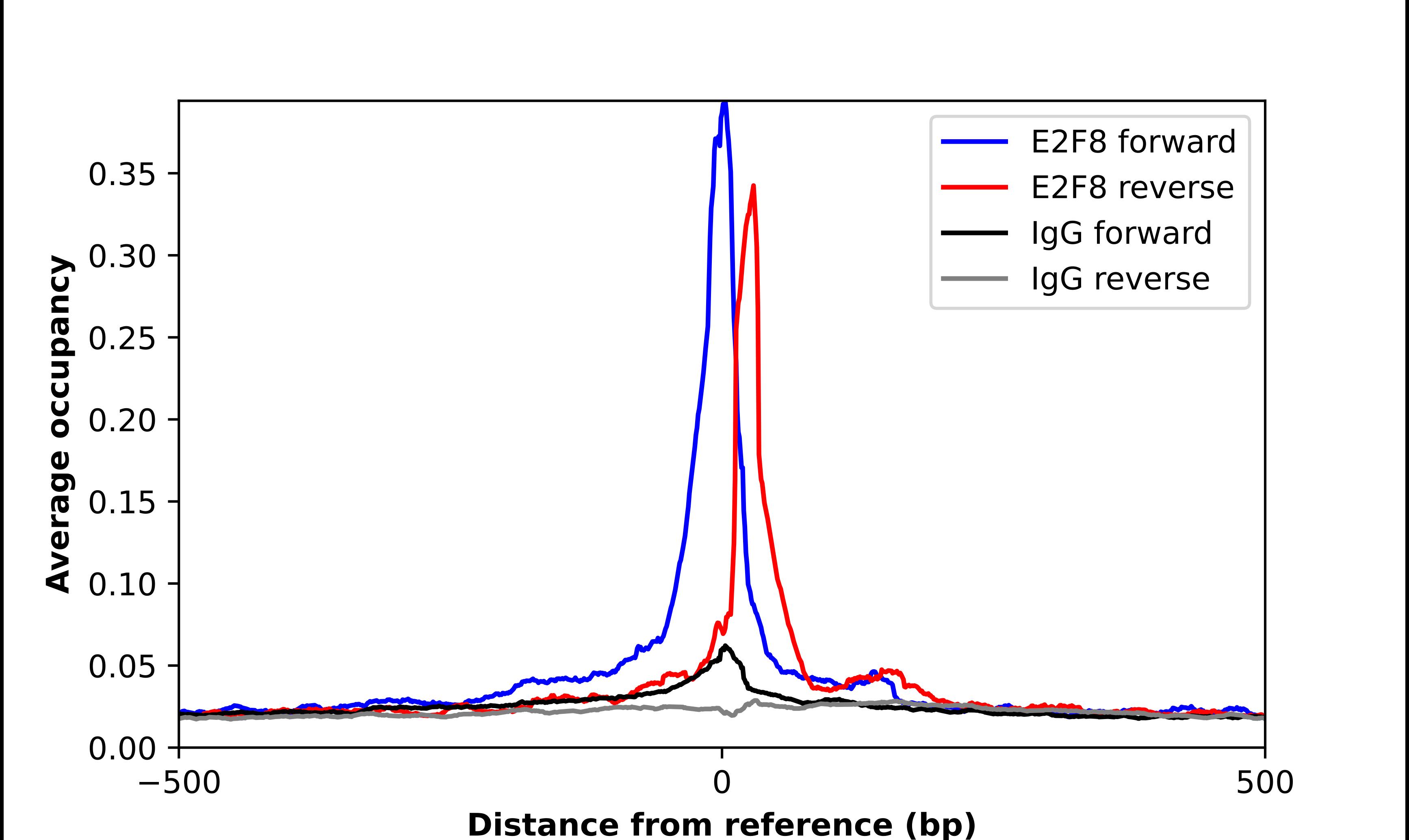 E2F8 Antibody - BSA Free Chromatin Immunoprecipitation ChIP: E2F8 Antibody - BSA Free