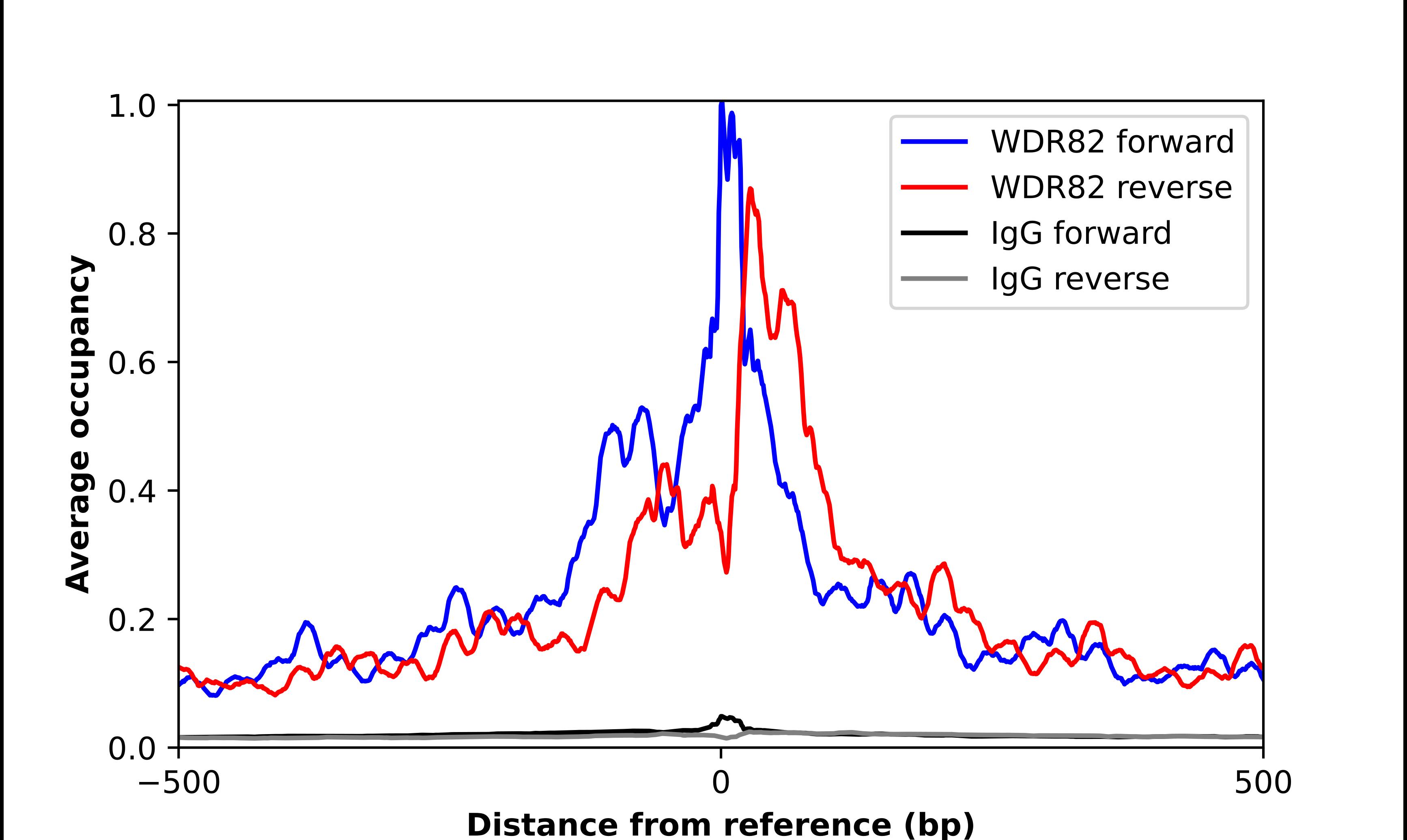 WDR82 Antibody - BSA Free Chromatin Immunoprecipitation-exo-Seq: WDR82 Antibody - BSA Free [NBP2-57428]