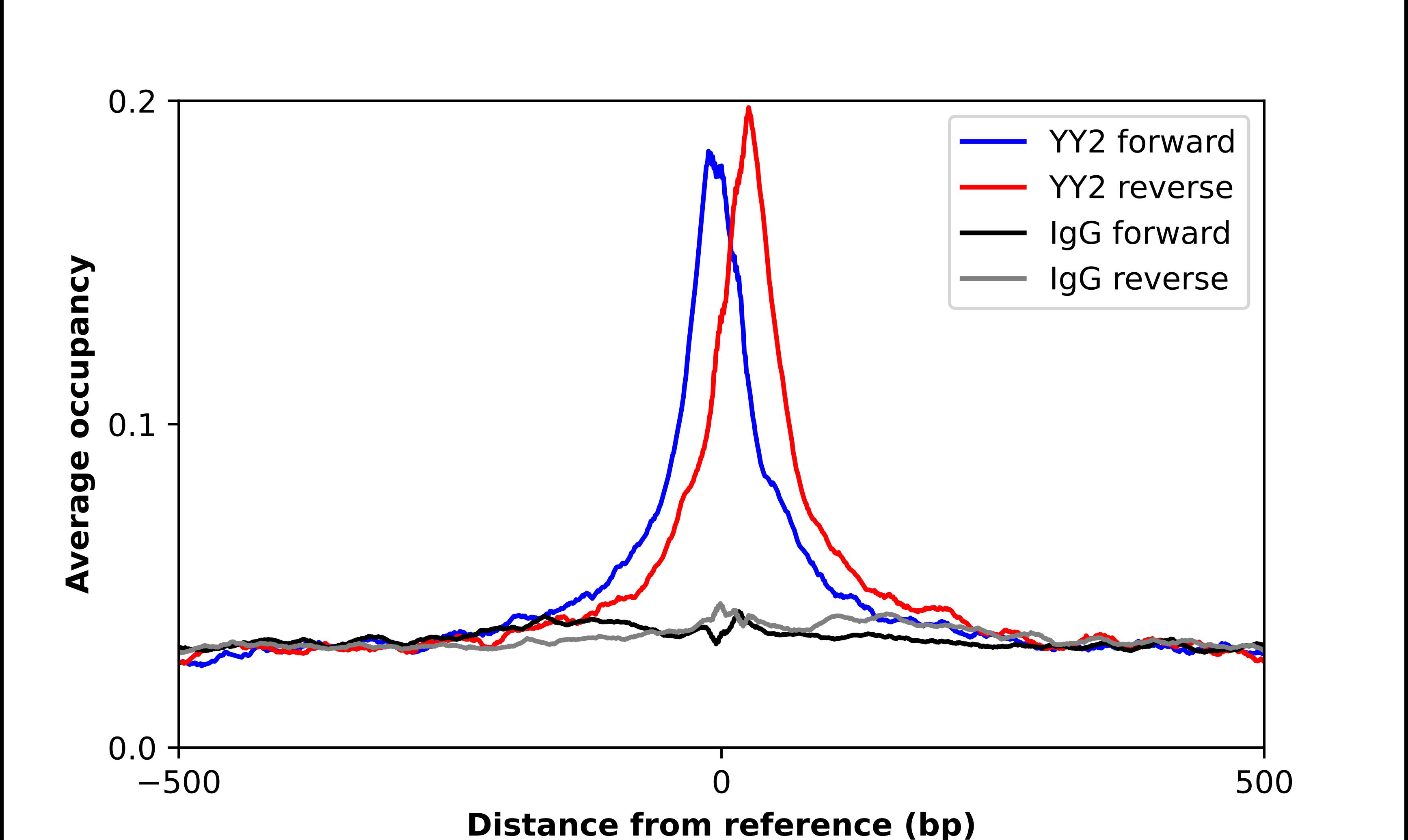 YY2 Antibody - BSA Free Chromatin Immunoprecipitation-exo-Seq: YY2 Antibody - BSA Free [NBP2-57462]