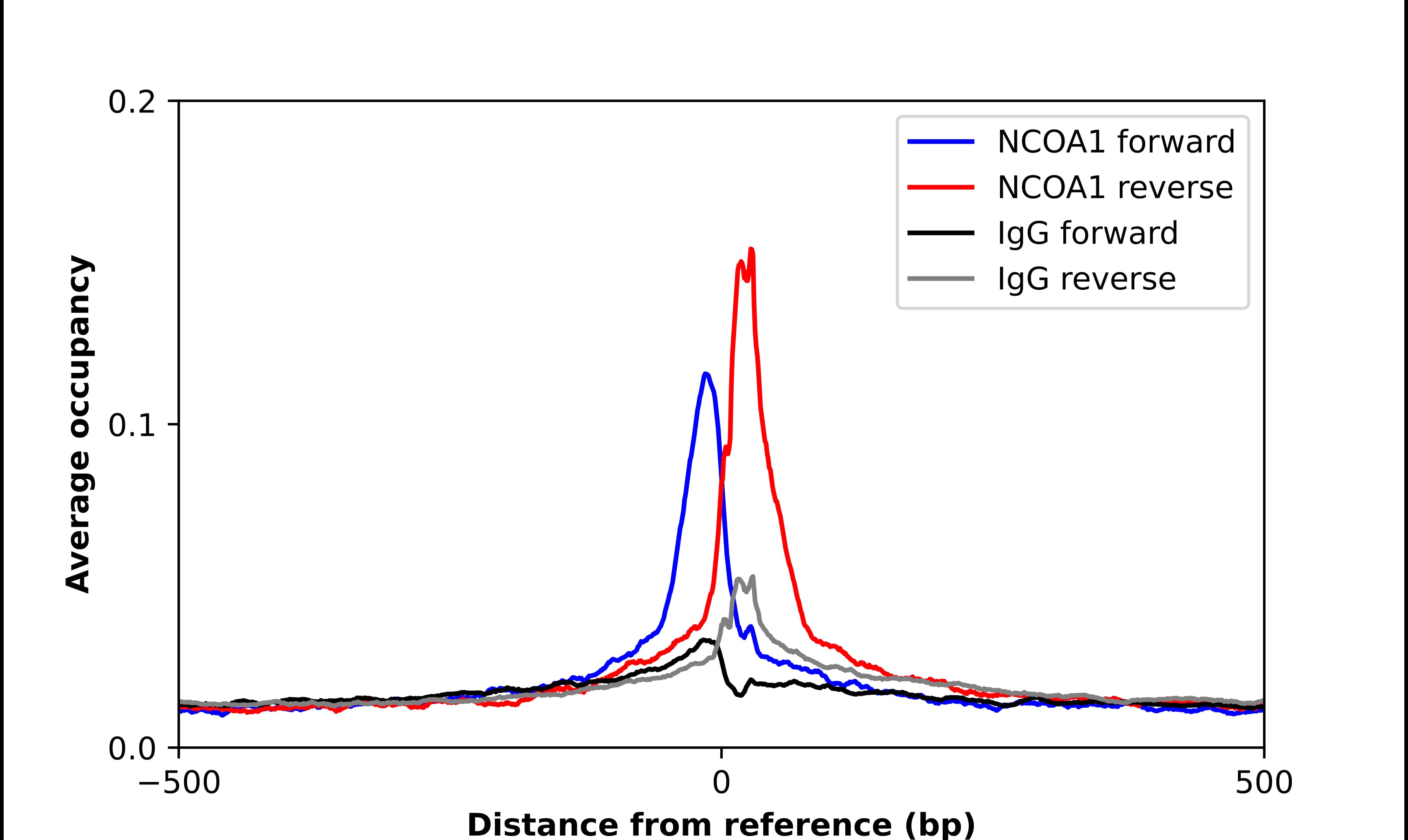 SRC1 Antibody - BSA Free Chromatin Immunoprecipitation-exo-Seq: SRC1 Antibody - BSA Free [NBP2-57610]