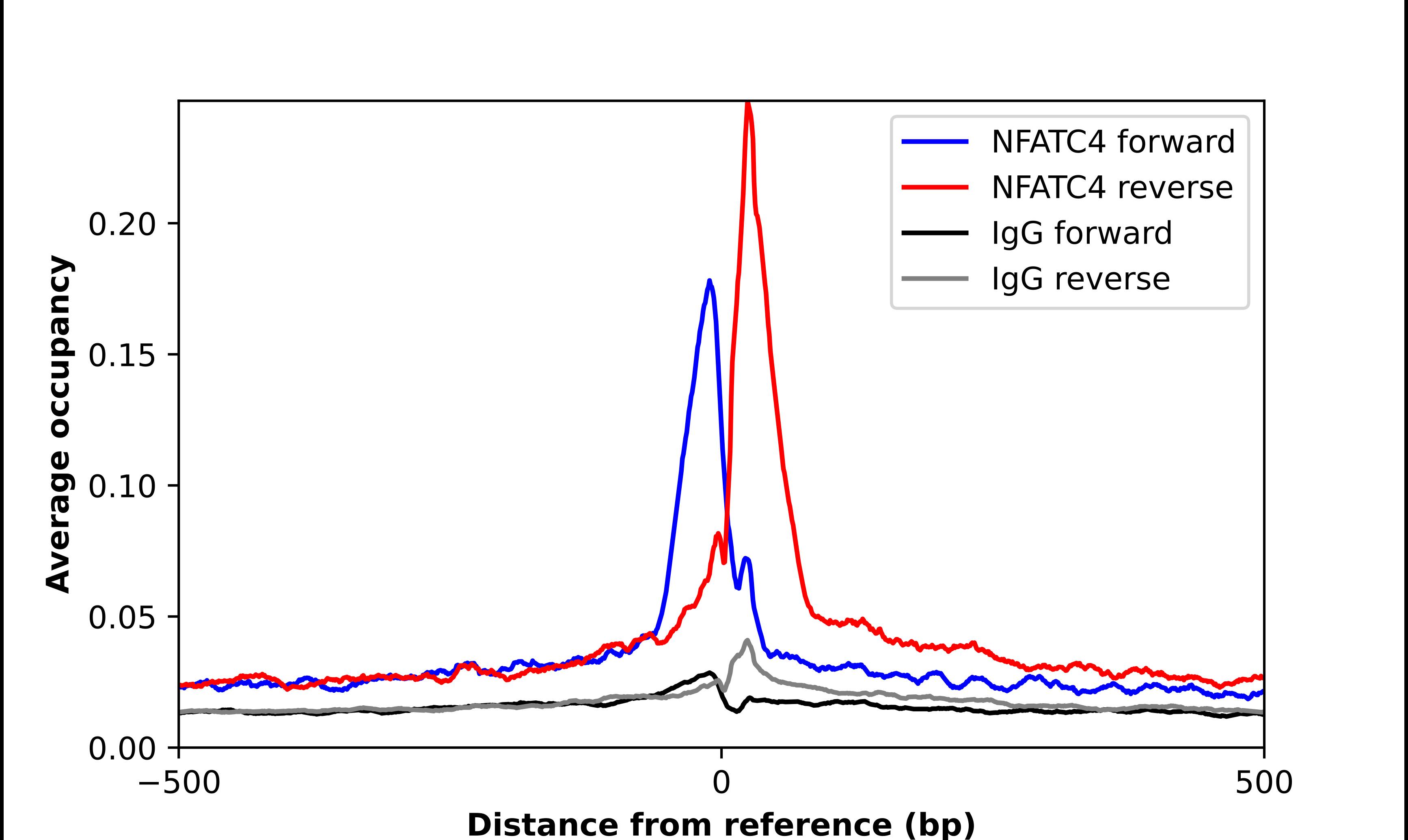 NFATC4 Antibody - BSA Free Chromatin Immunoprecipitation-exo-Seq: NFATC4 Antibody - BSA Free [NBP2-57613]