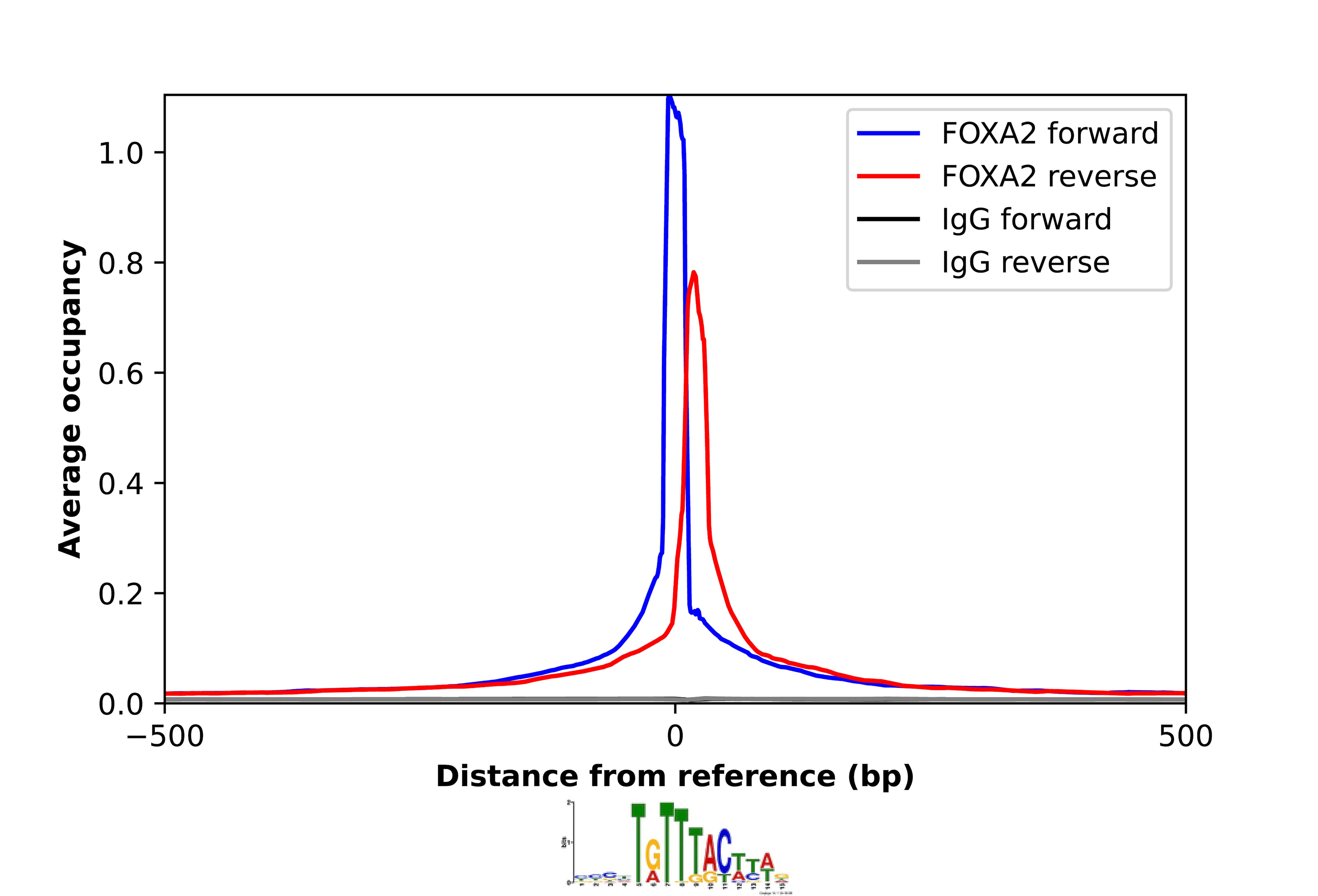 HNF-3 beta/FoxA2 Antibody - BSA Free Chromatin Immunoprecipitation-exo-Seq: HNF-3 beta/FoxA2 Antibody - BSA Free [NBP2-57623]