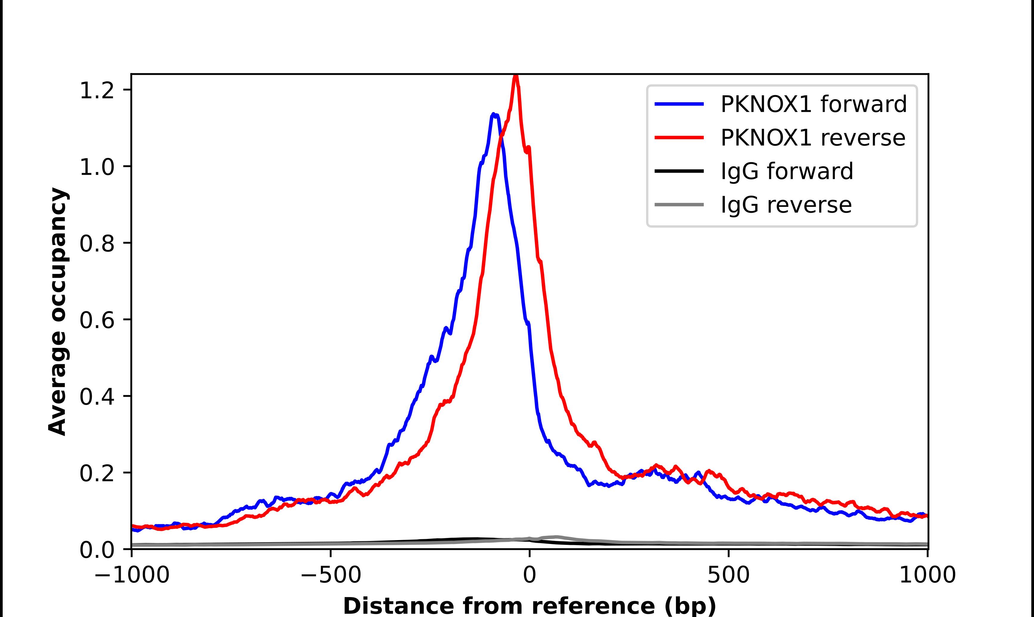 PKNOX1 Antibody - BSA Free Chromatin Immunoprecipitation-exo-Seq: PKNOX1 Antibody - BSA Free [NBP2-57710]