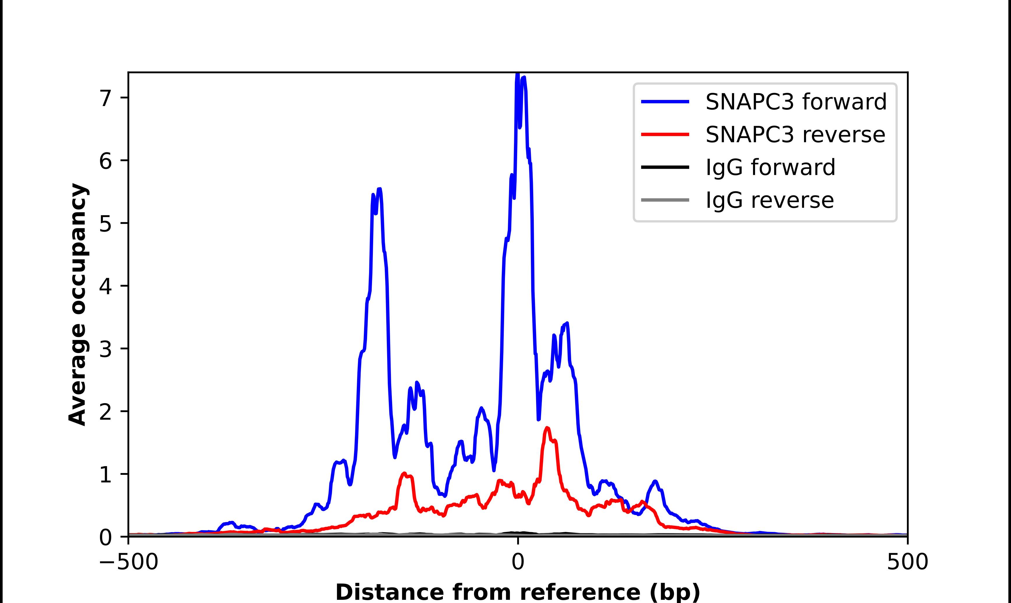 SNAPC3 Antibody - BSA Free Chromatin Immunoprecipitation ChIP: SNAPC3 Antibody - BSA Free