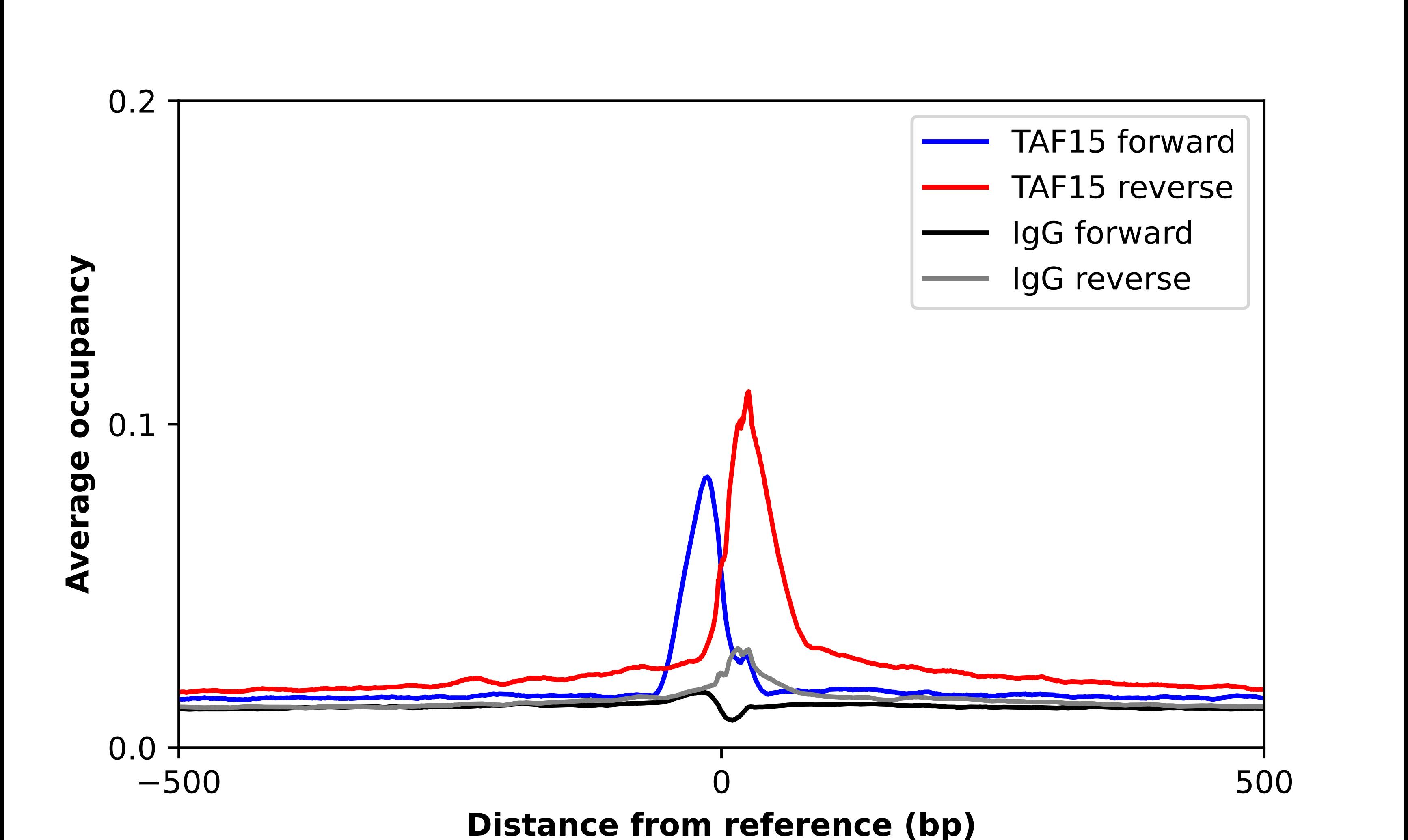 TAF15 Antibody - BSA Free Chromatin Immunoprecipitation ChIP: TAF15 Antibody - BSA Free