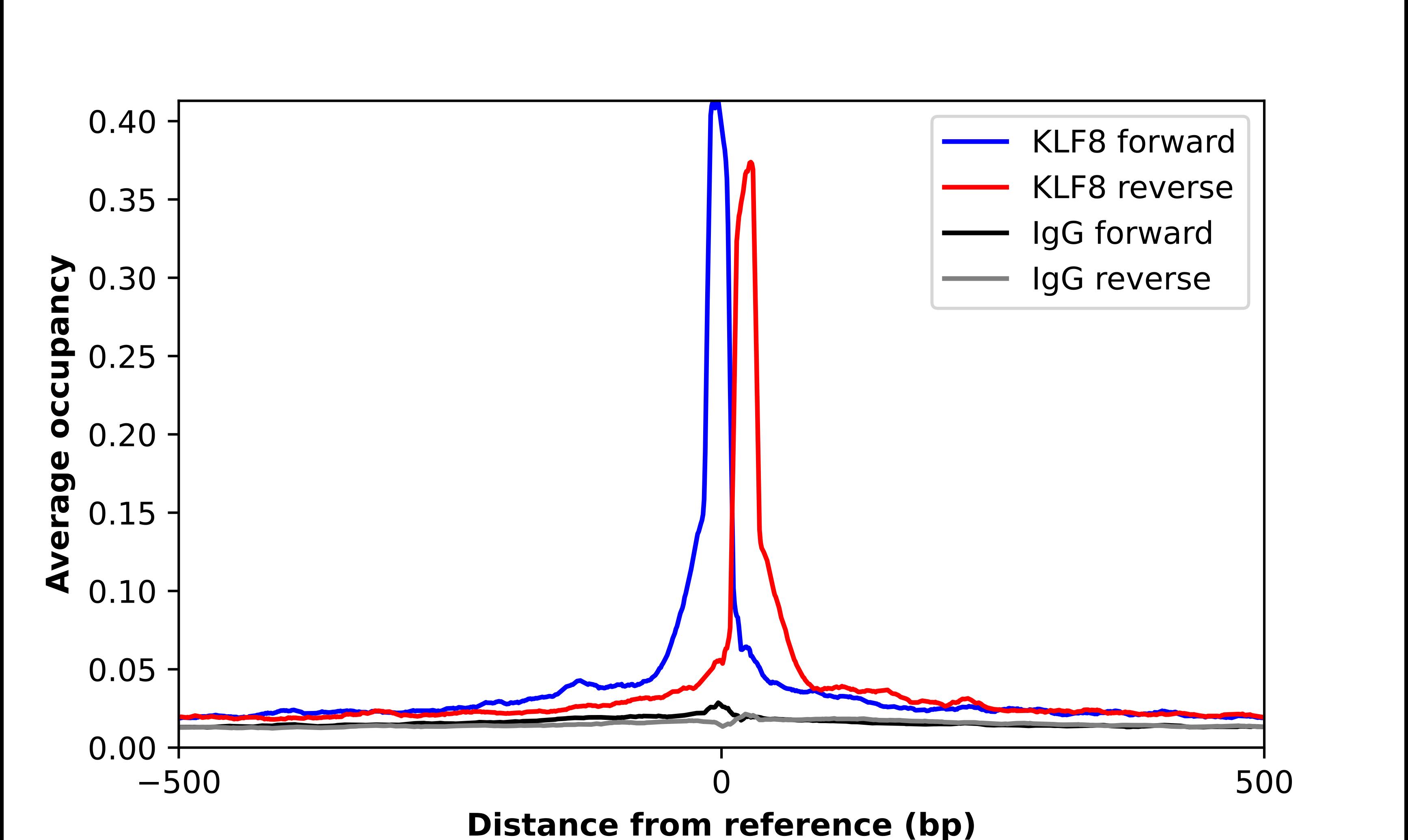 KLF8 Antibody - BSA Free Chromatin Immunoprecipitation ChIP: KLF8 Antibody - BSA Free