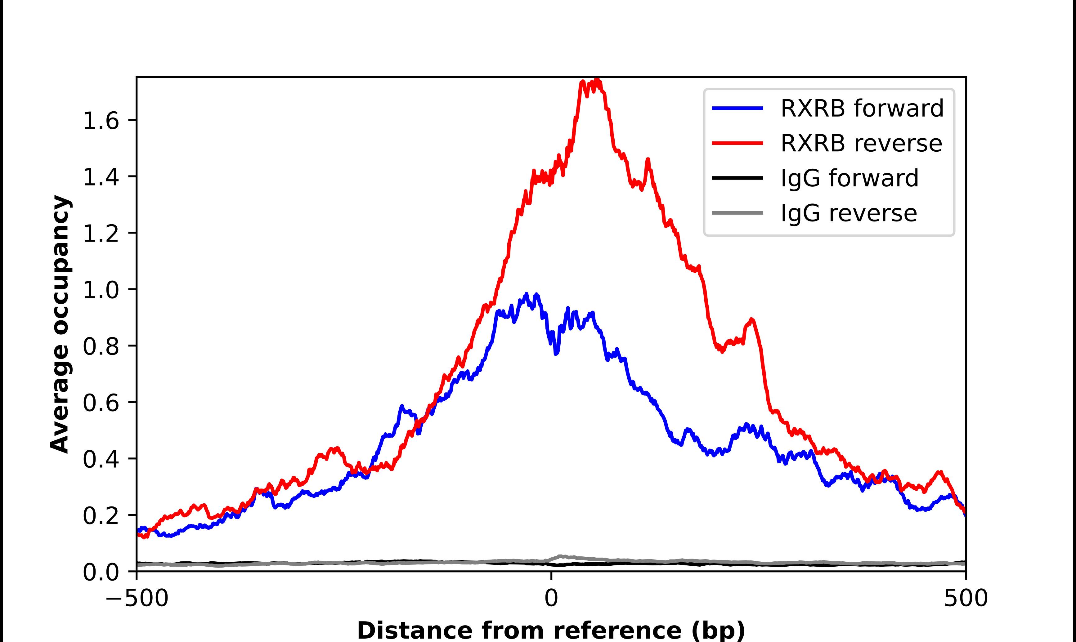 RXR beta/NR2B2 Antibody - BSA Free Chromatin Immunoprecipitation-exo-Seq: RXR beta/NR2B2 Antibody - BSA Free [NBP2-57755]