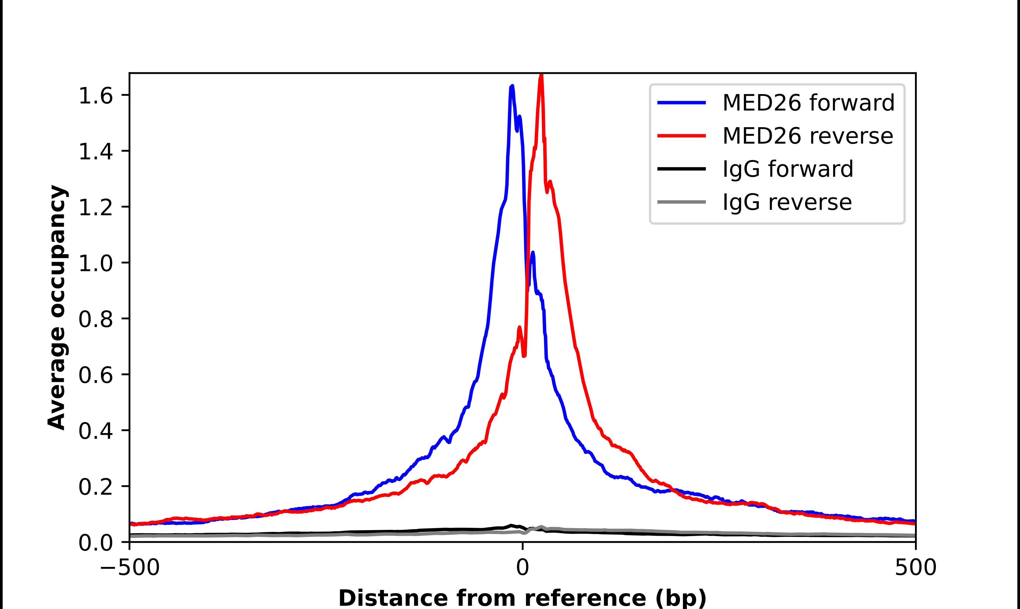 MED26 Antibody - BSA Free Chromatin Immunoprecipitation-exo-Seq: MED26 Antibody - BSA Free [NBP2-57785]