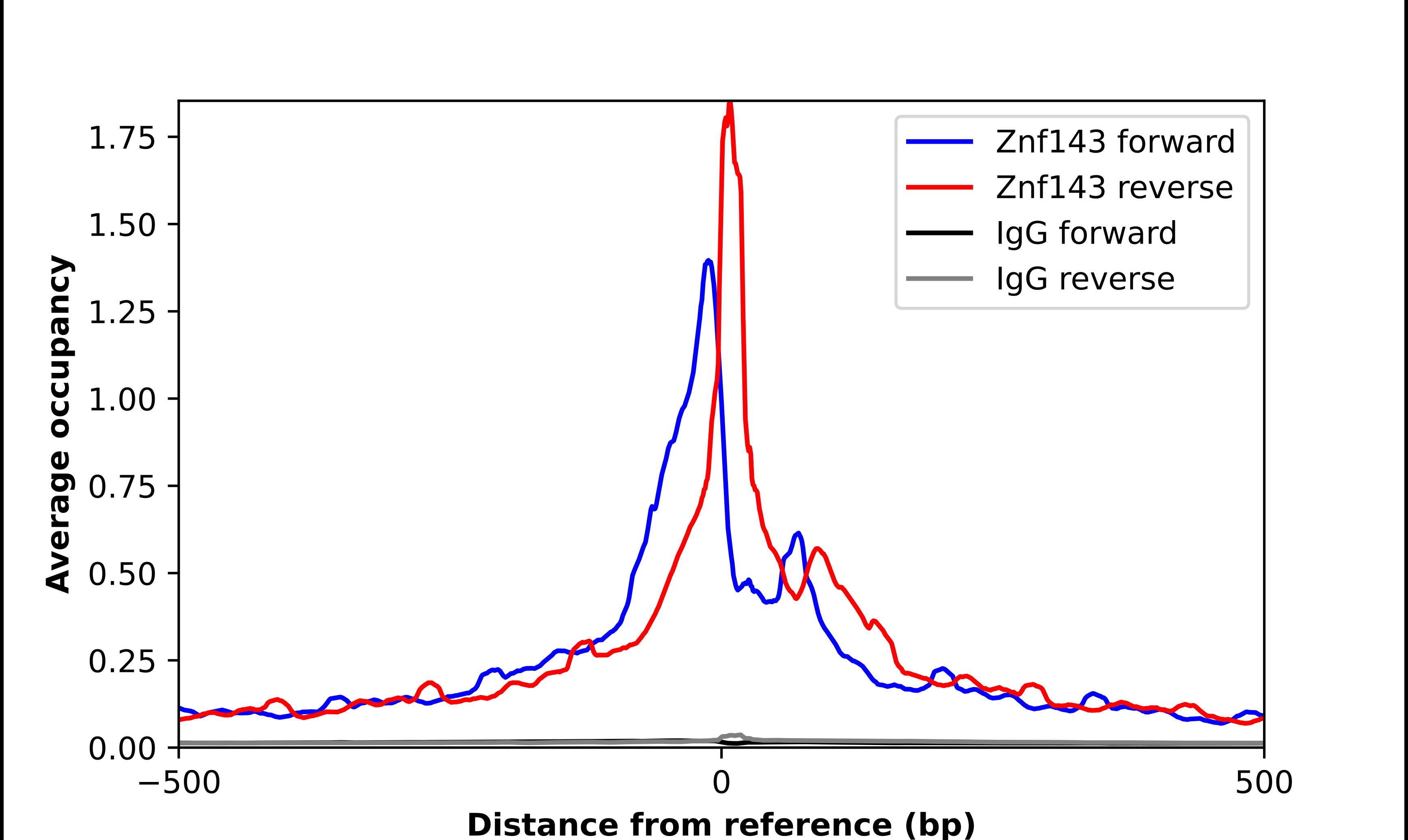 ZNF143 Antibody - BSA Free Chromatin Immunoprecipitation-exo-Seq: ZNF143 Antibody - BSA Free [NBP2-57806]