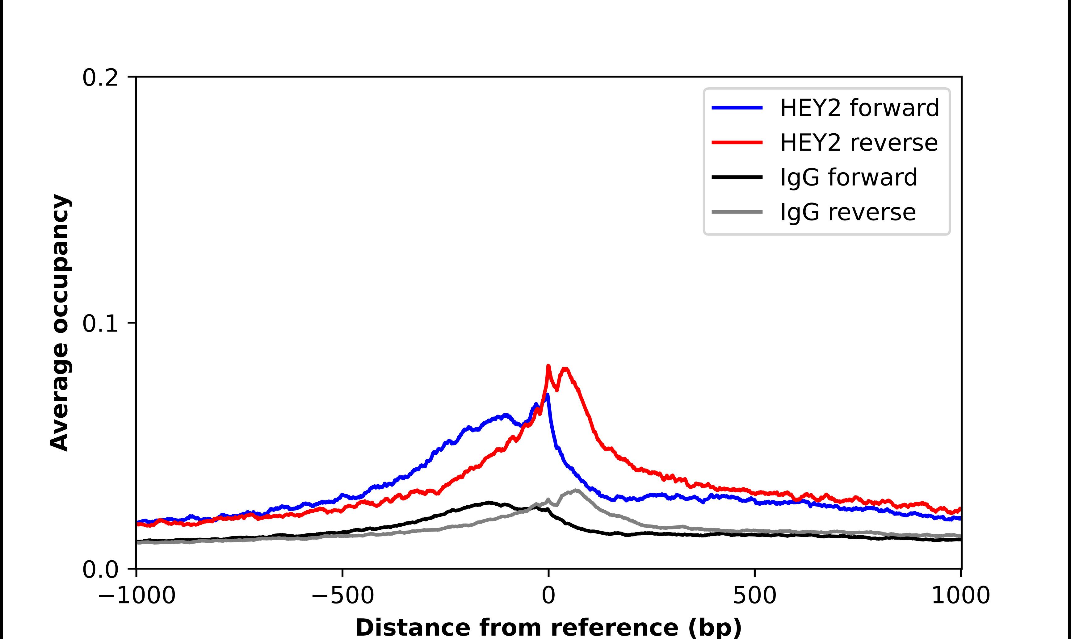 HEY2 Antibody - BSA Free Chromatin Immunoprecipitation-exo-Seq: HEY2 Antibody - BSA Free [NBP2-57809]