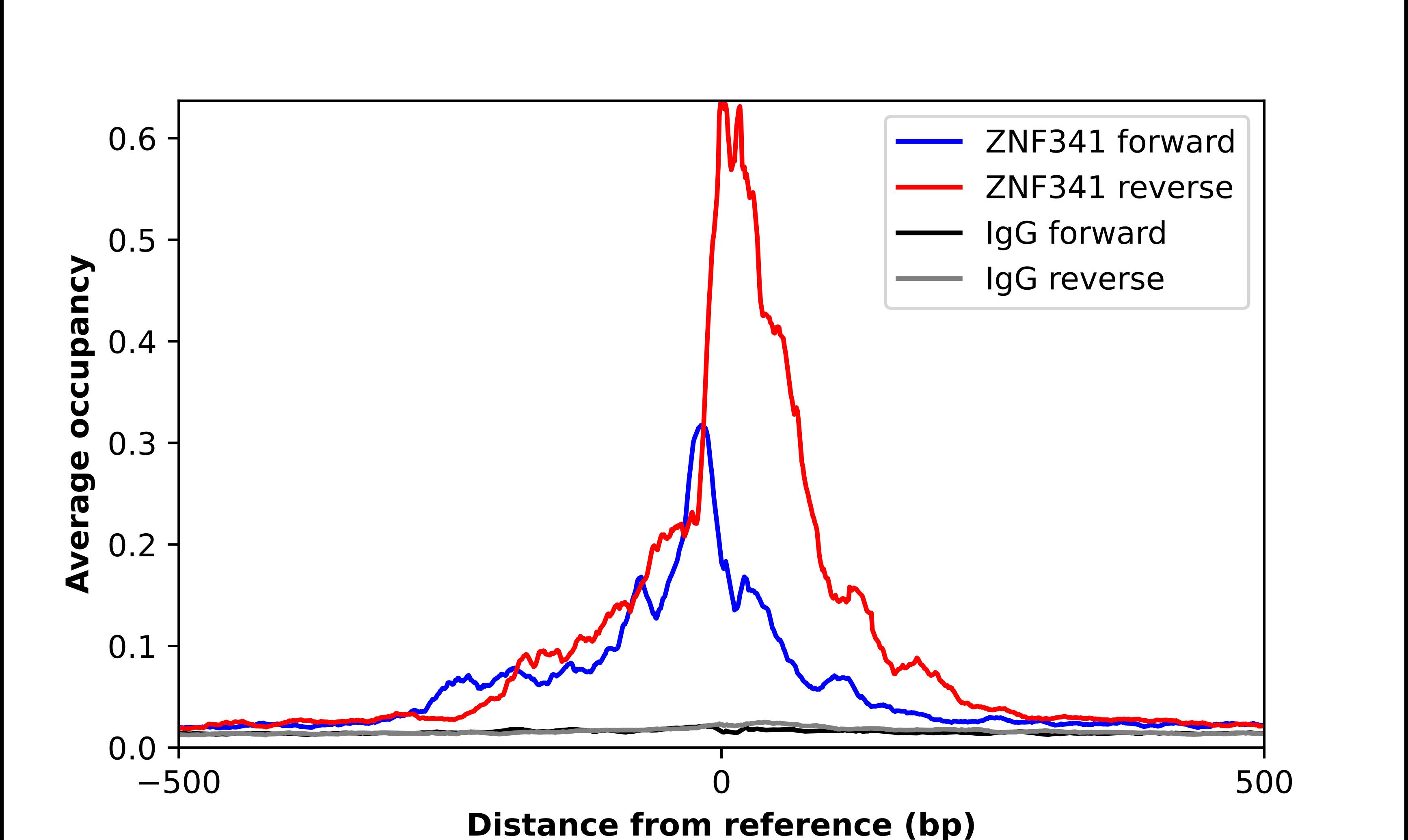 ZNF341 Antibody - BSA Free Chromatin Immunoprecipitation ChIP: ZNF341 Antibody - BSA Free