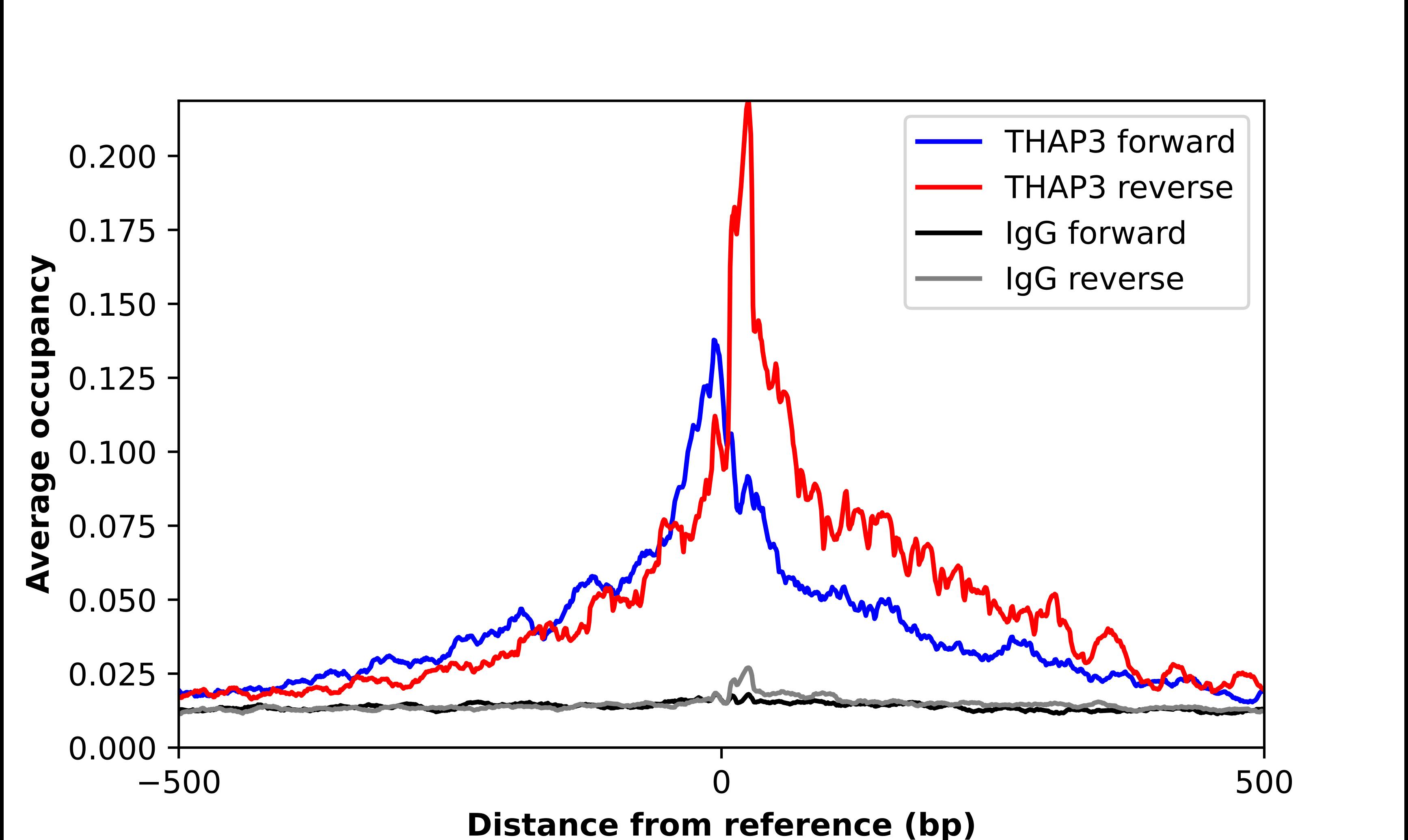 THAP3 Antibody - BSA Free Chromatin Immunoprecipitation ChIP: THAP3 Antibody - BSA Free