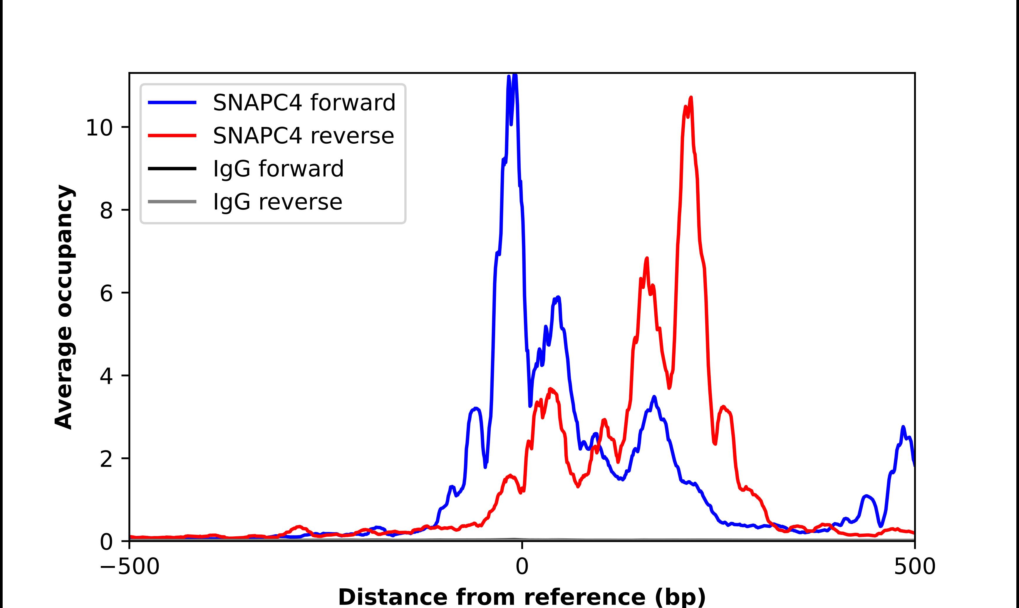 SNAPC4 Antibody - BSA Free Chromatin Immunoprecipitation-exo-Seq: SNAPC4 Antibody - BSA Free [NBP2-57849]